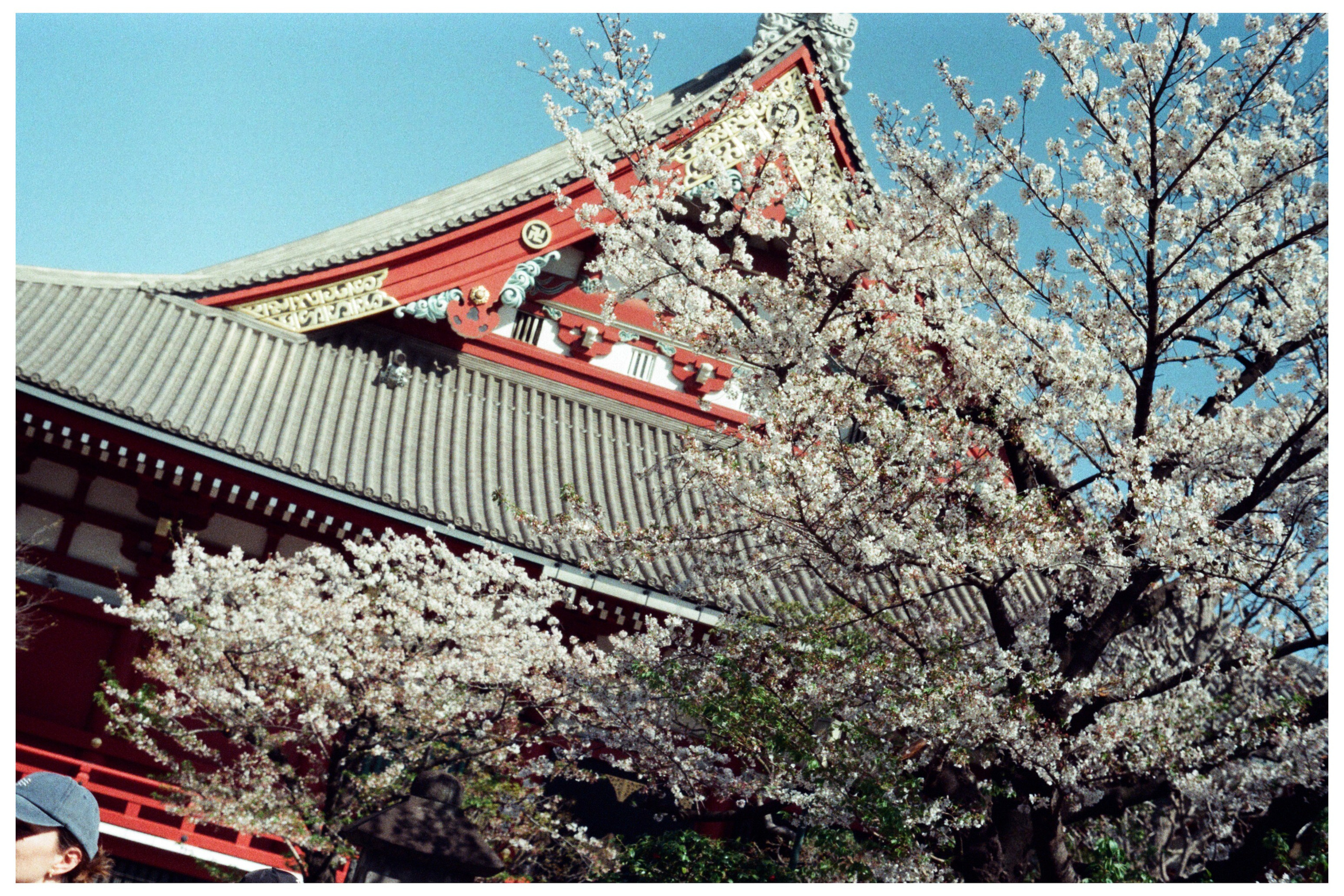 Japan with Minolta. Егор Фотобрат — Портретный фотограф теперь в Ташкенте