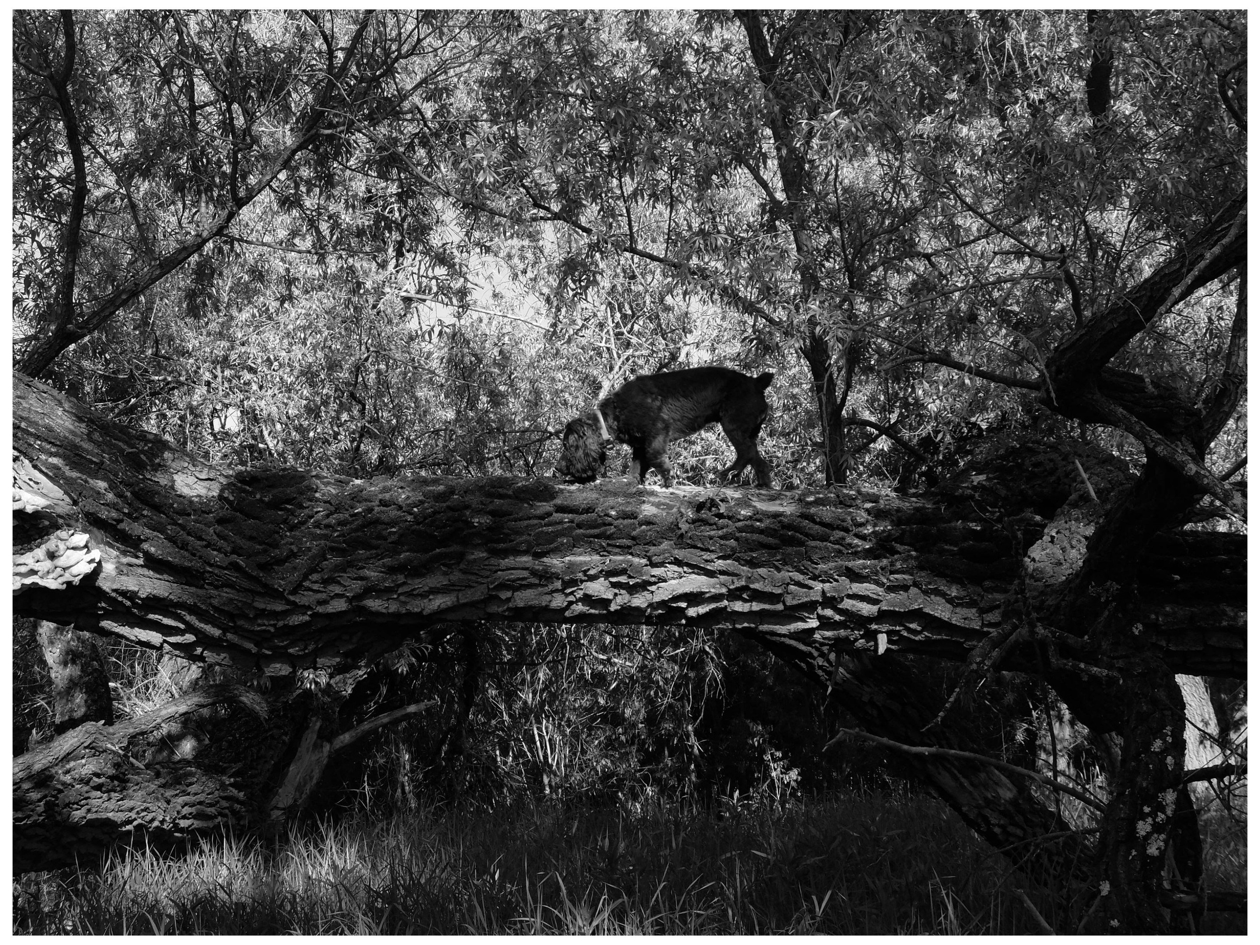 Промежуточные моменты (2022)