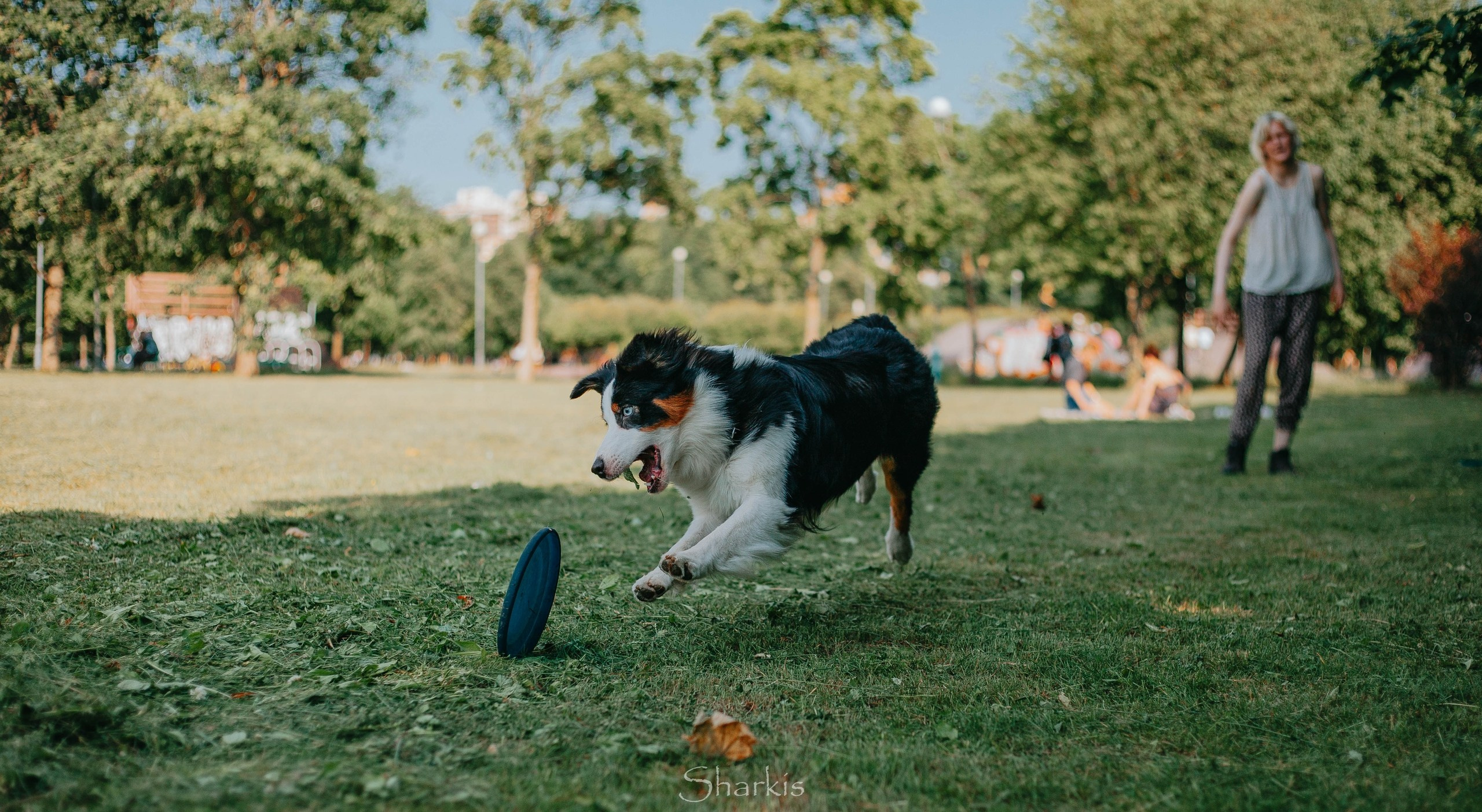 Гелий и Тсахик. Фотограф Елизавета Филатова