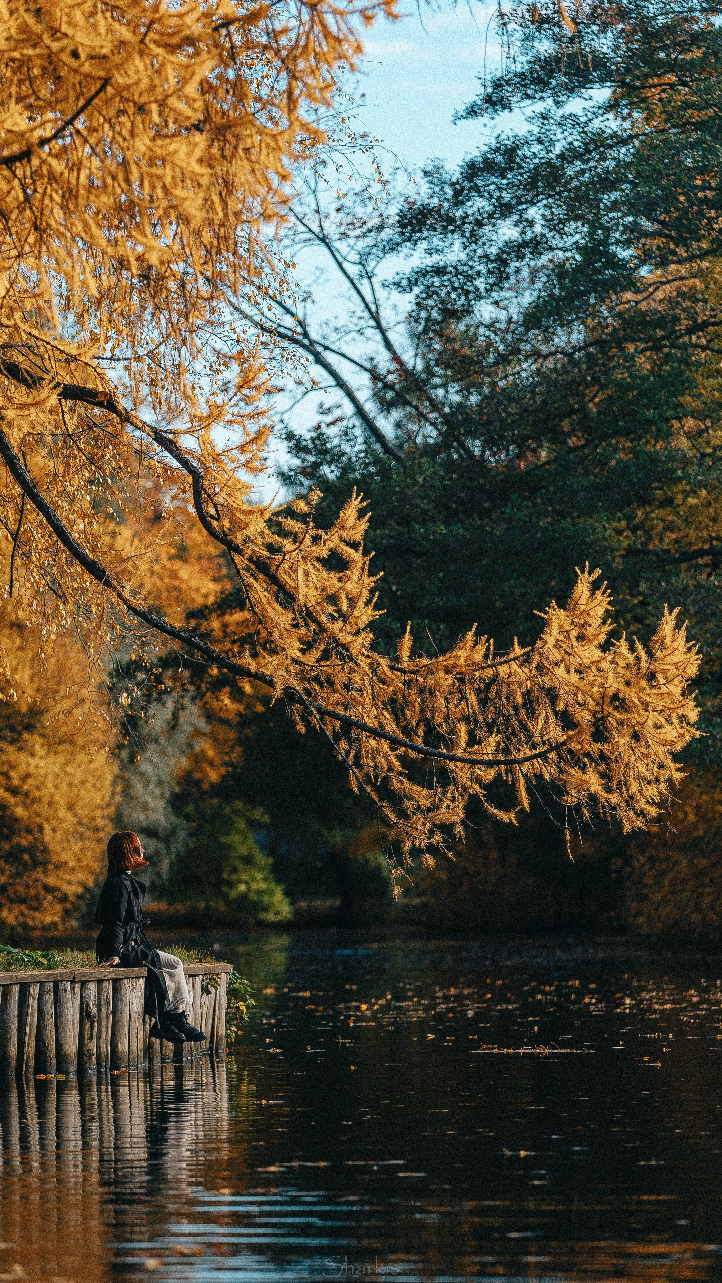 Света. Главная