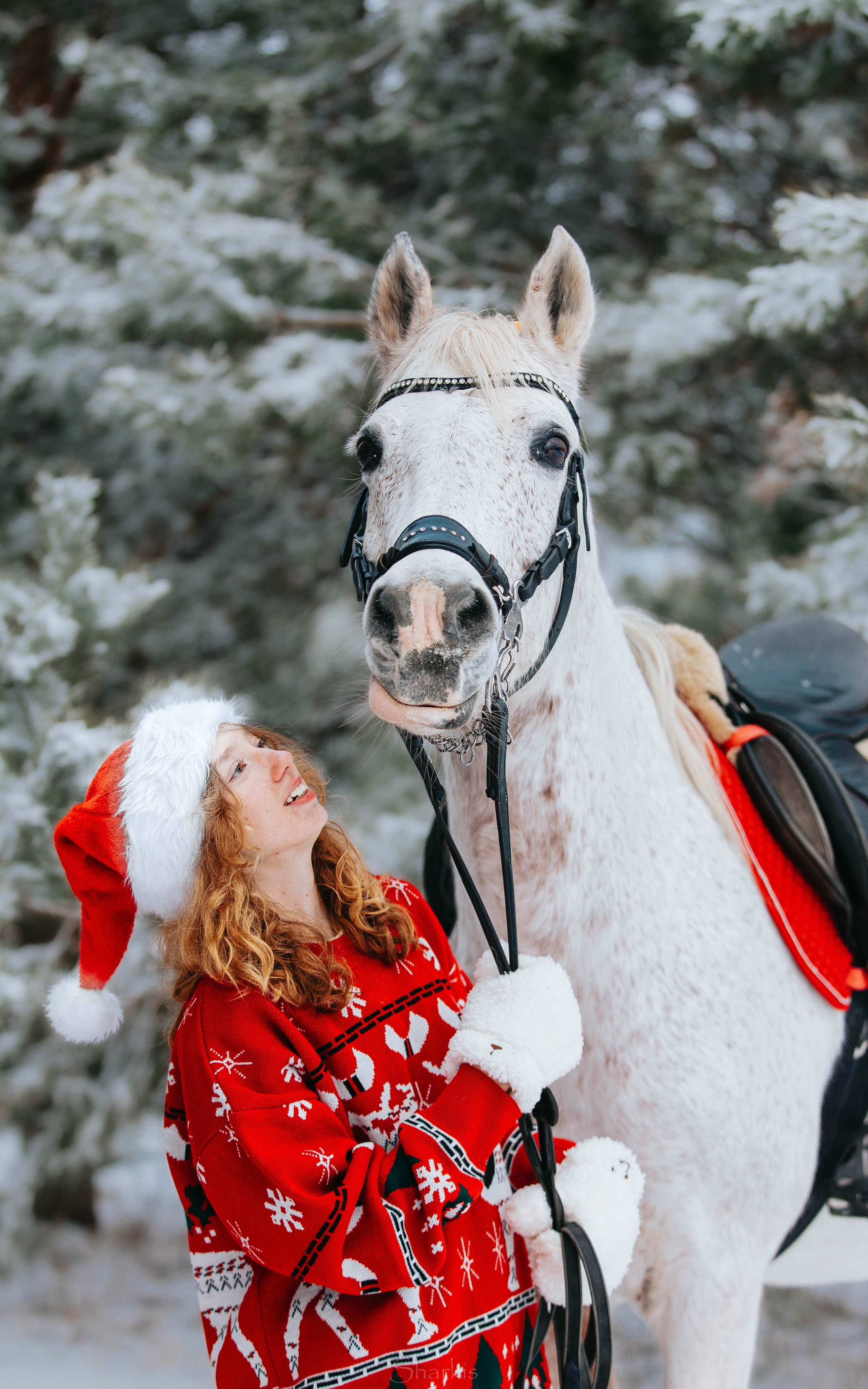 Фото день в ЧК «Орлёнок» — Новый год. Главная