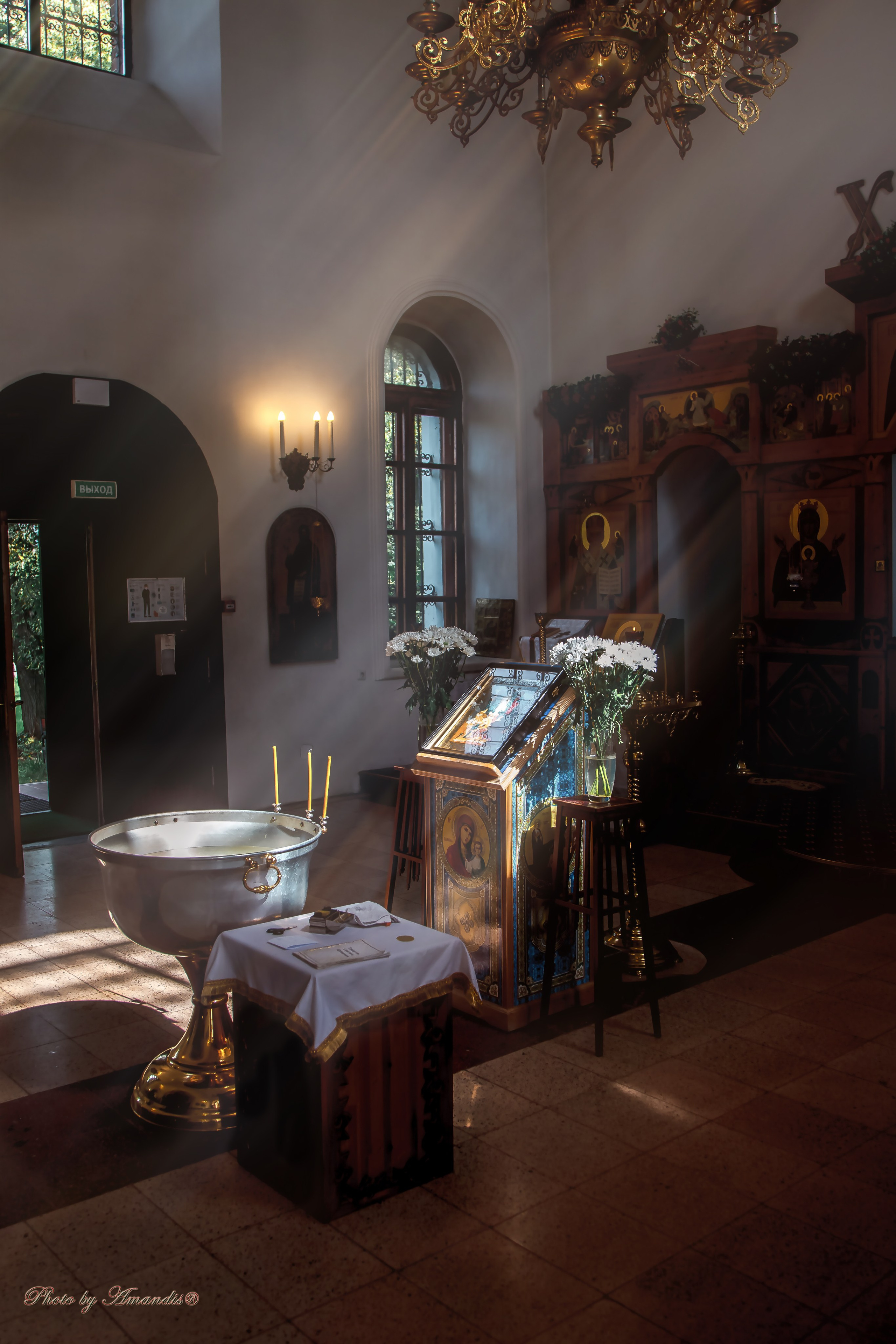 Крещение в д. Еганово (август 2024). Репортажная съемка в Москве и области. Анималистика