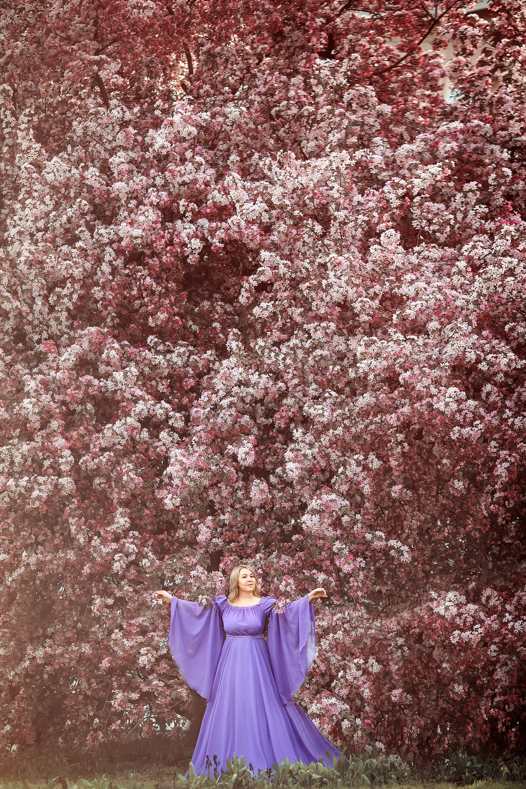 Цветение. Сказочный фотограф фотопроекты фототуры в Новосибирске и на Алтае