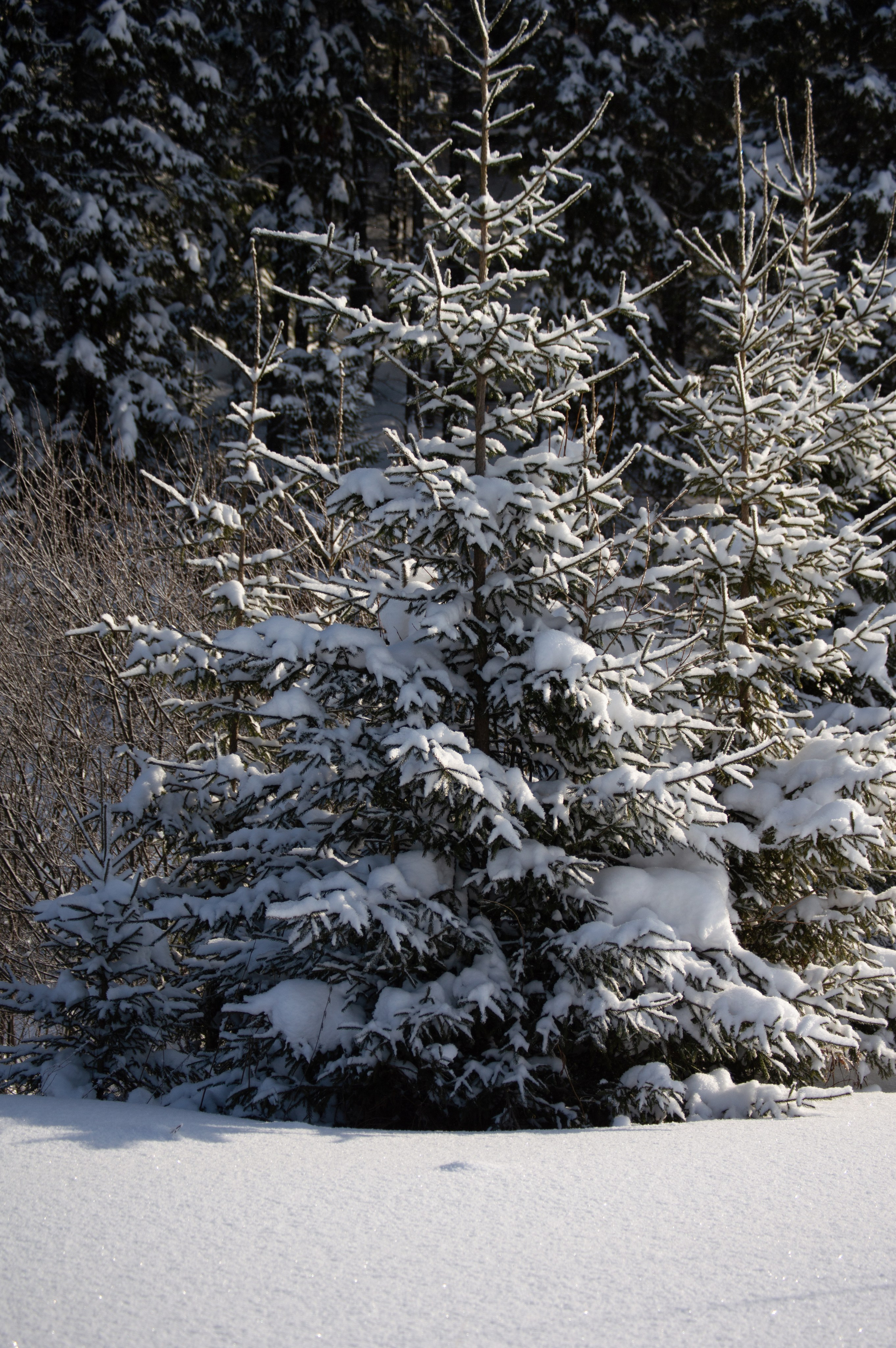 Эстетика еб{деревней}й. Место {не}банальных фото
