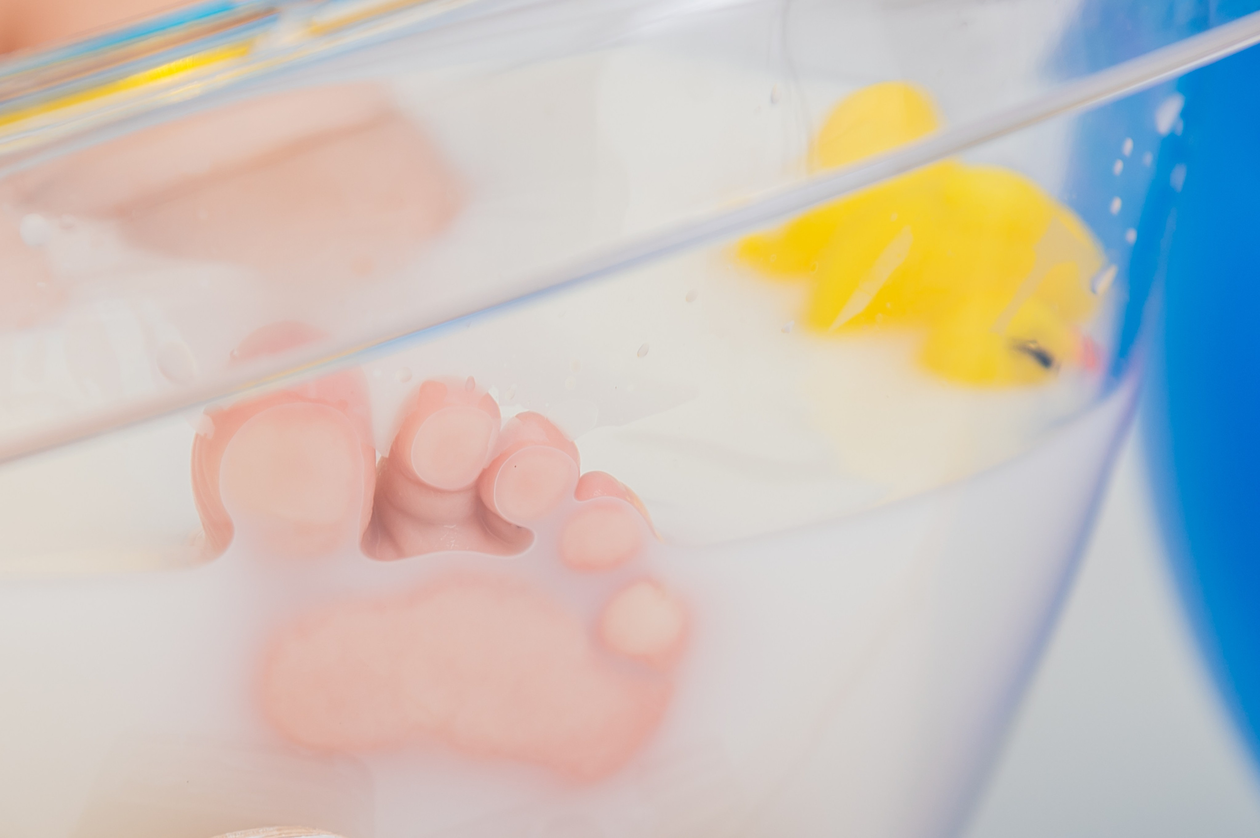 Годовасия. Детский фотограф Магадан