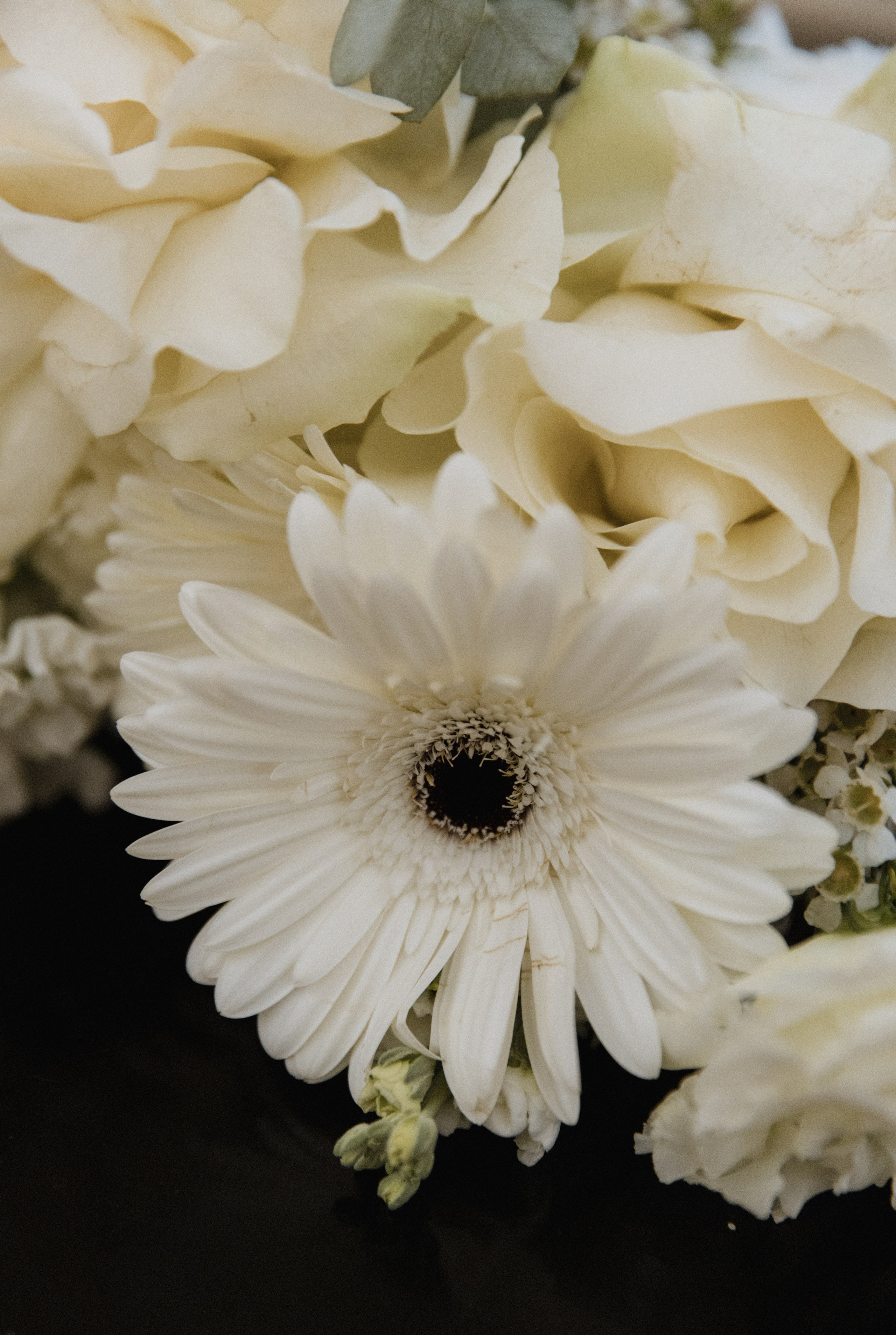 Николай&Валерия. Свадебный и семейный фотограф в Таганроге и Ростове Руднева Анастасия