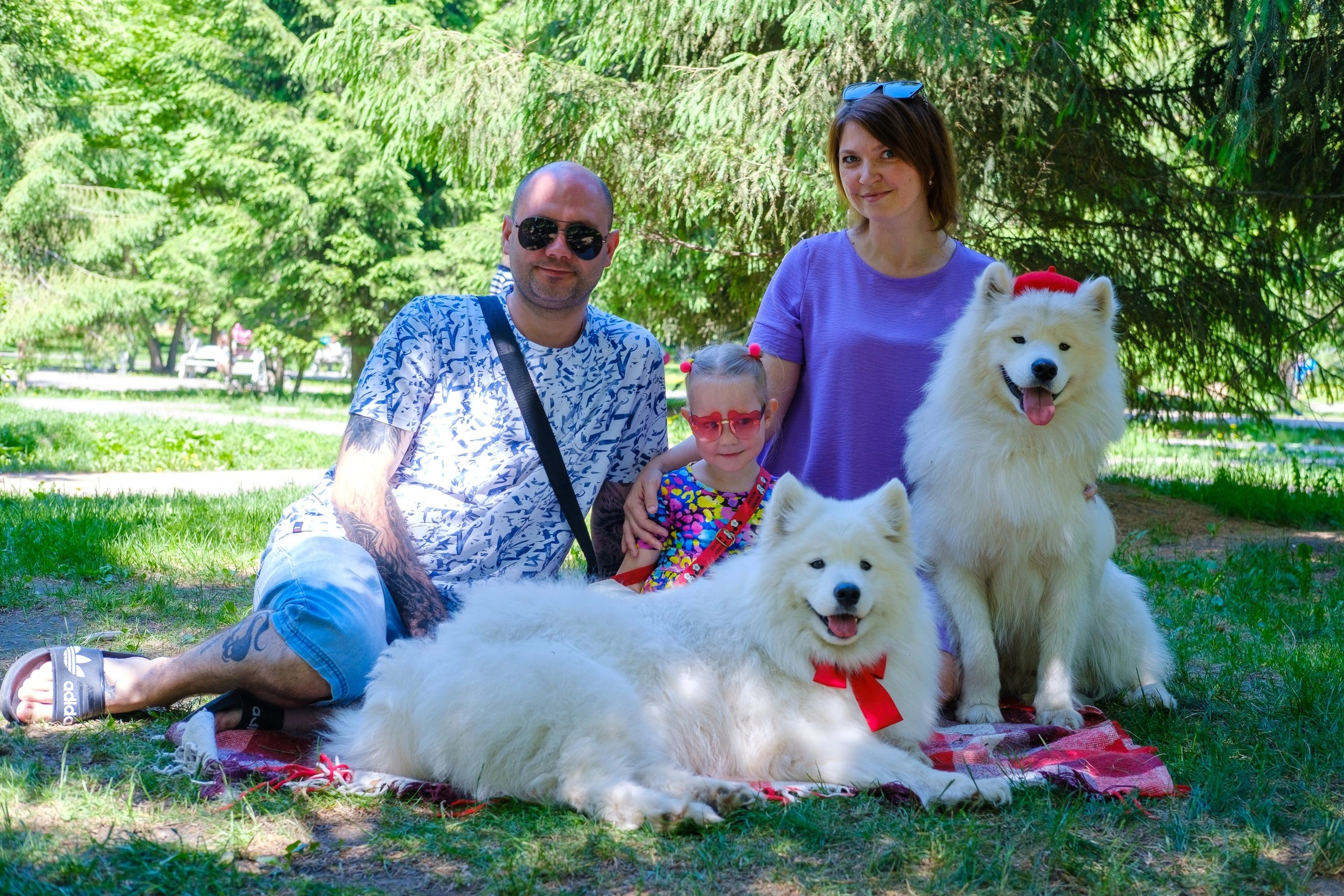 Благотворительная фотосессия. Самоед Новосибирск