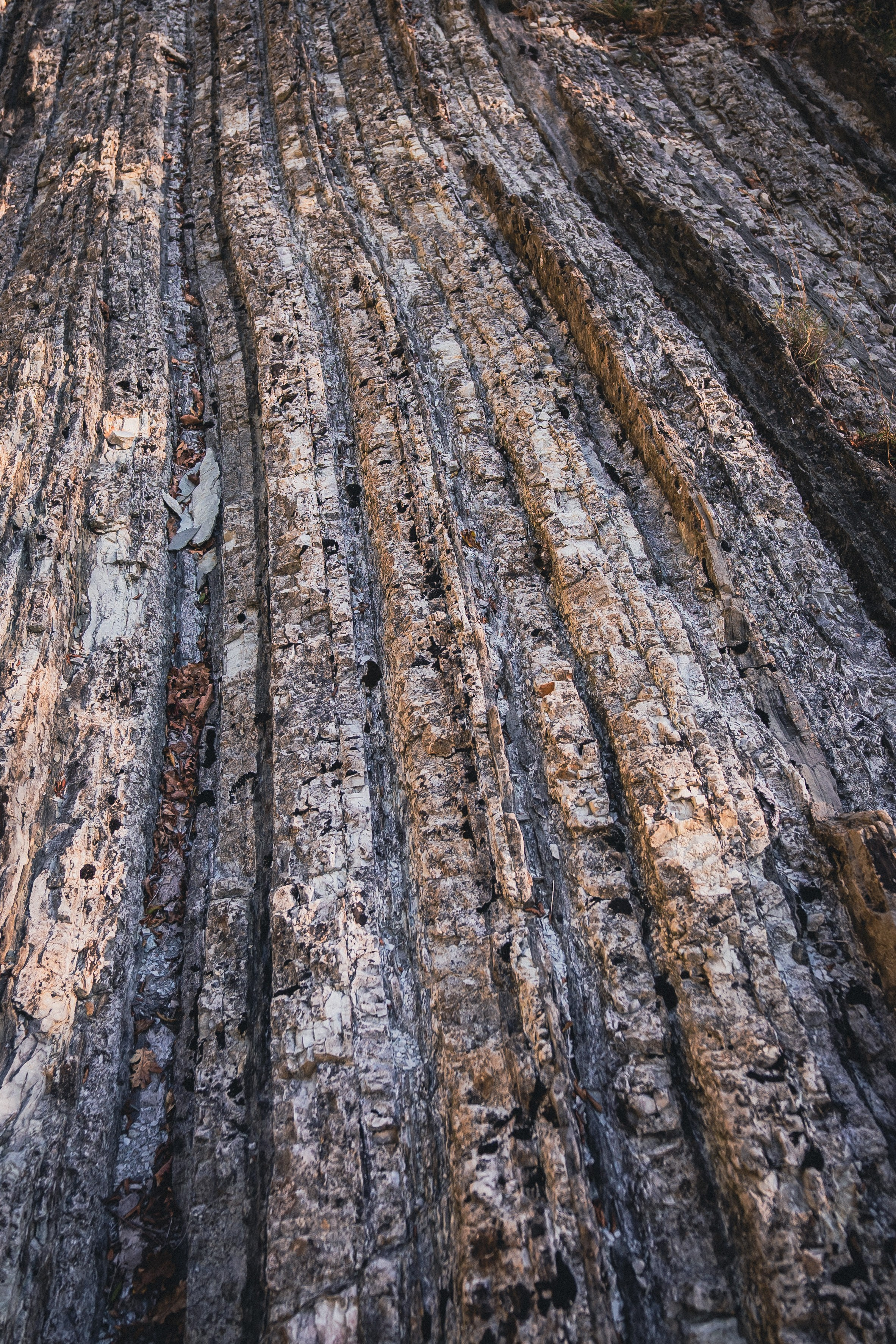 Поход на Полковничьи водопады АСК 26.09.23. Репортажный фотограф в Краснодаре Рындин Дмитрий