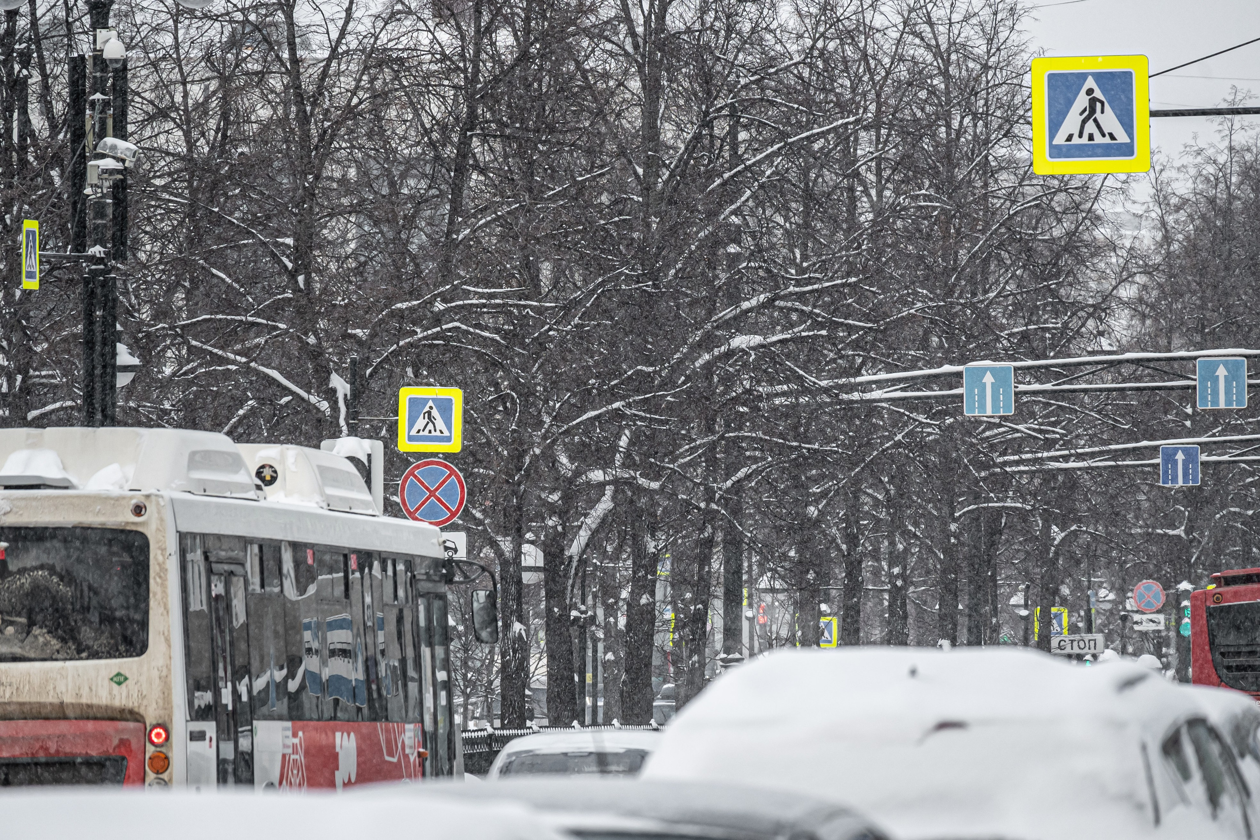 Снегопад. Репортажный фотограф