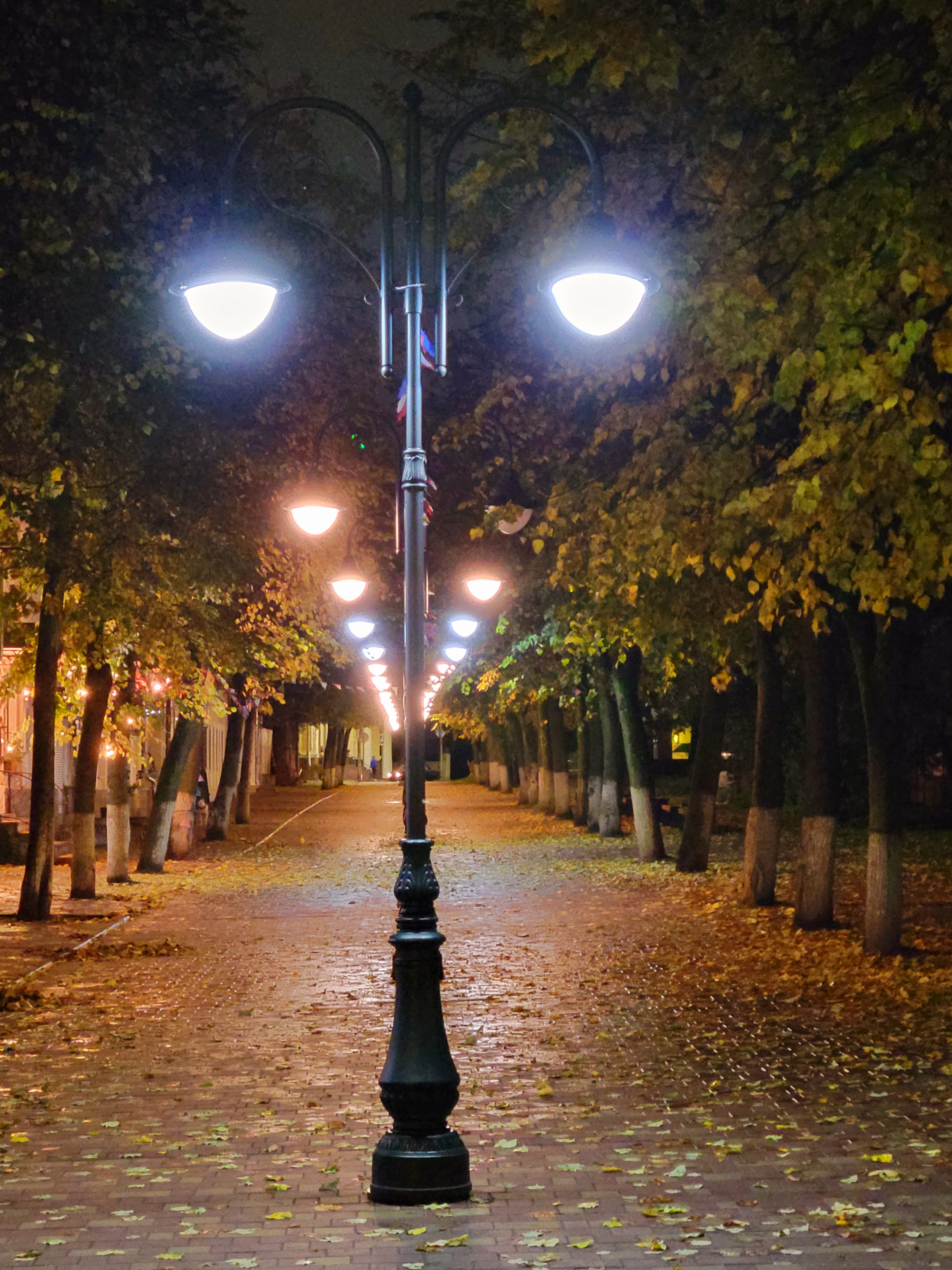 Осень в разгаре