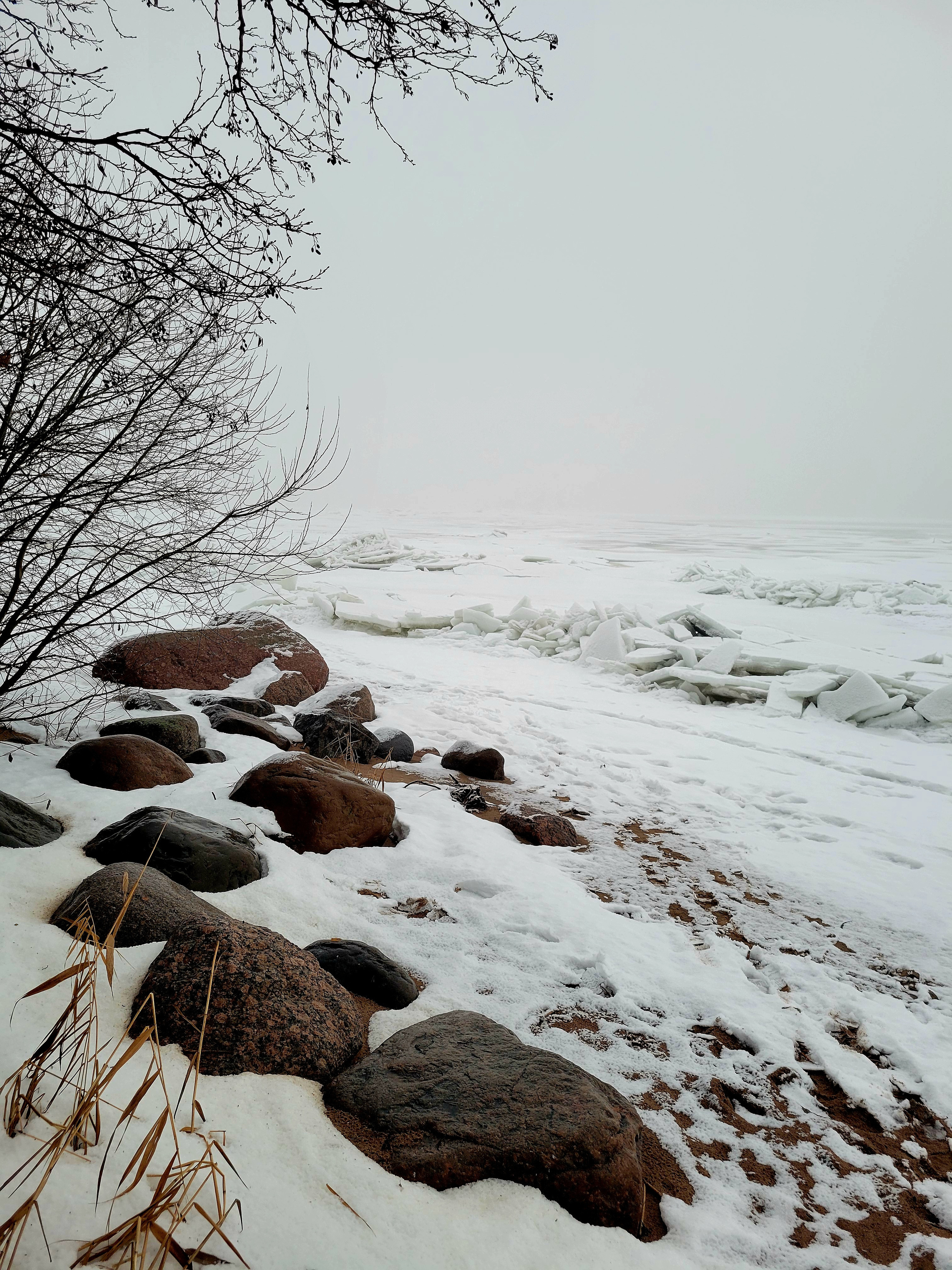 Из Кронштадта отправились на любимое Приморское шоссе на обед