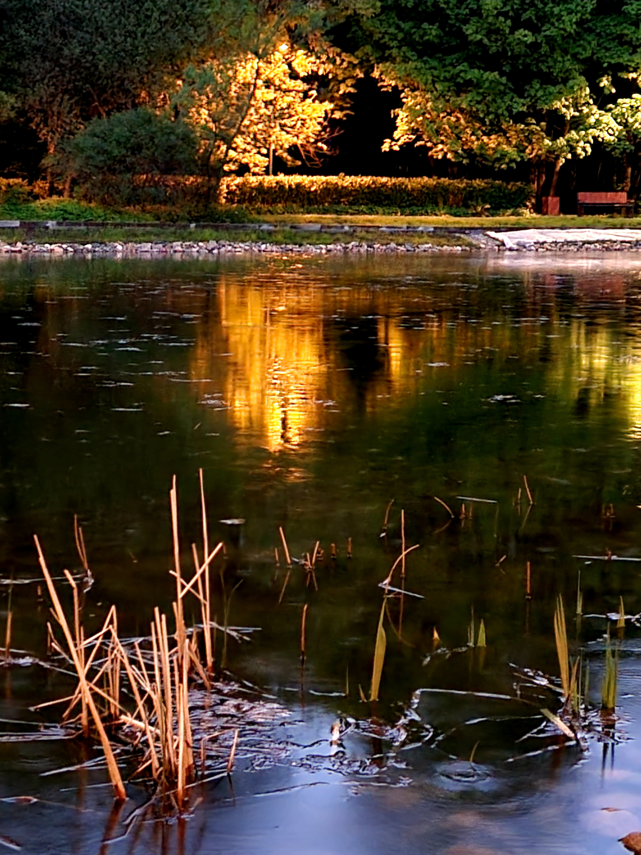 There are no people in the evening