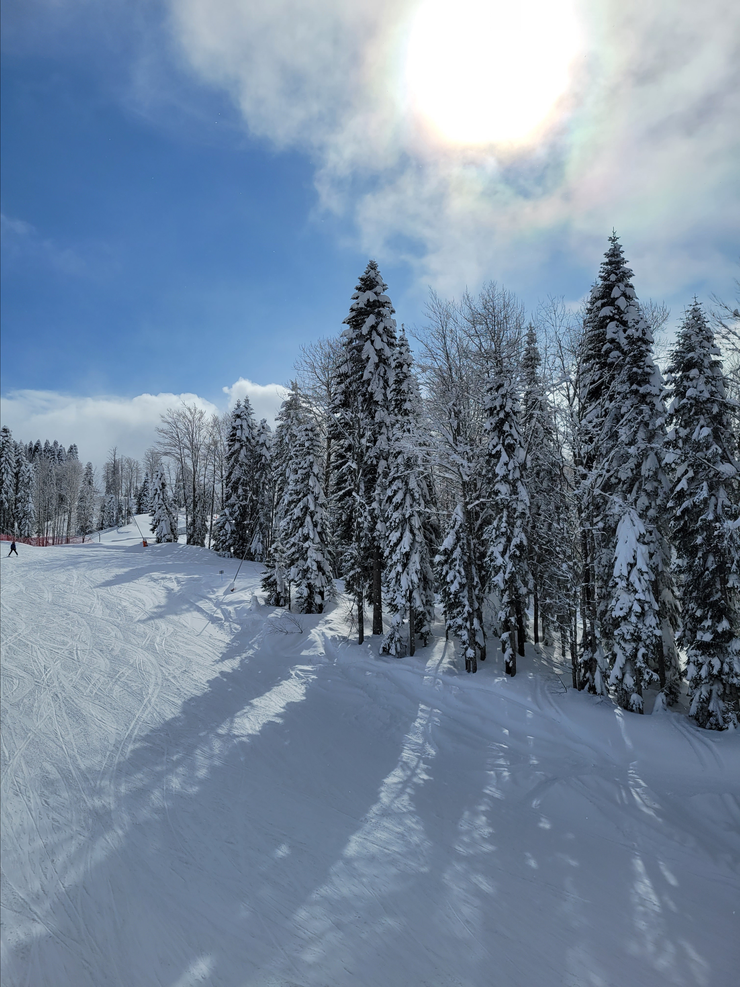 And in the morning Sun shines again