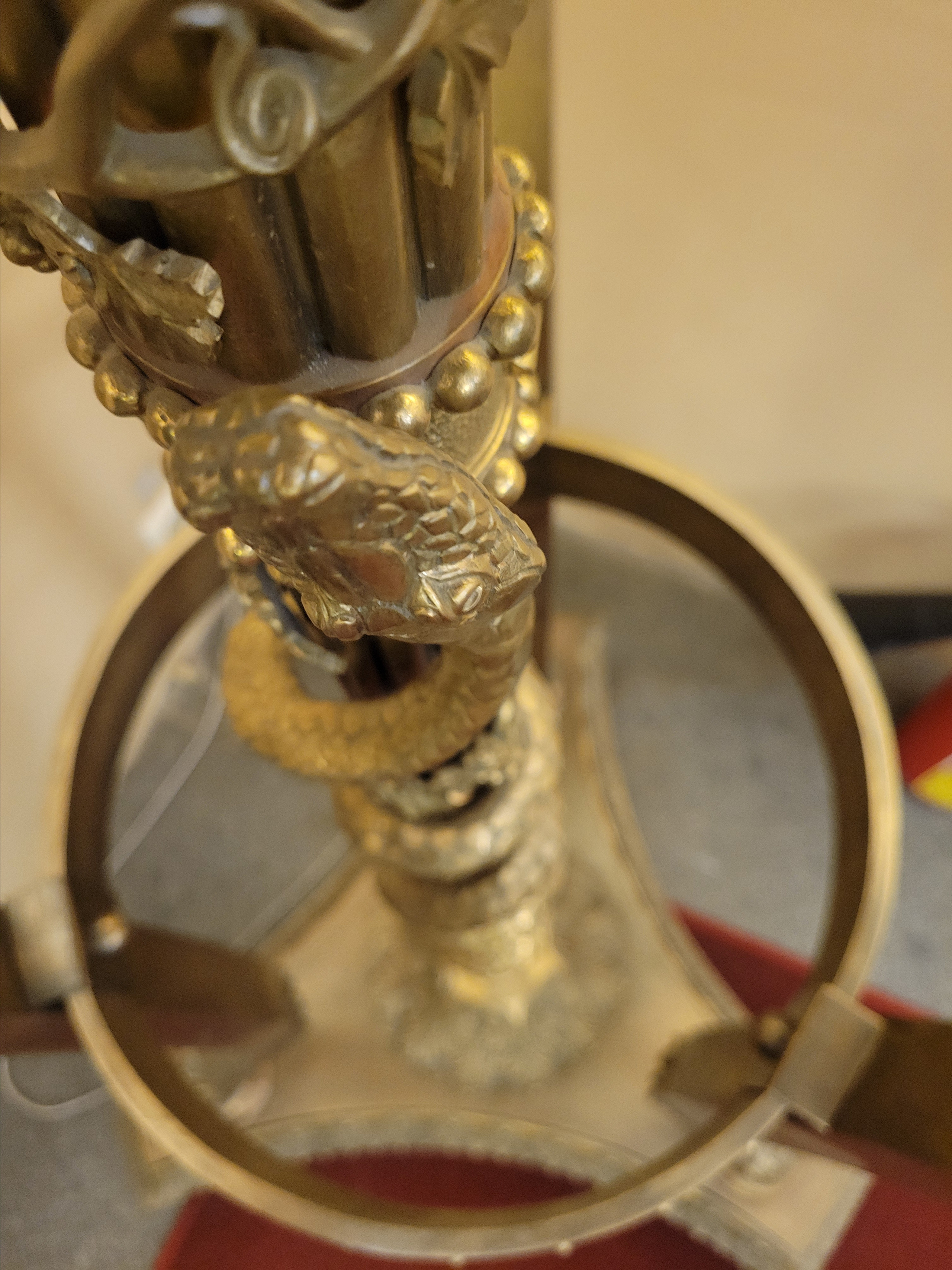 Змея. Долго ловил ракурс, чтобы был виден ее изгиб вокруг ствола