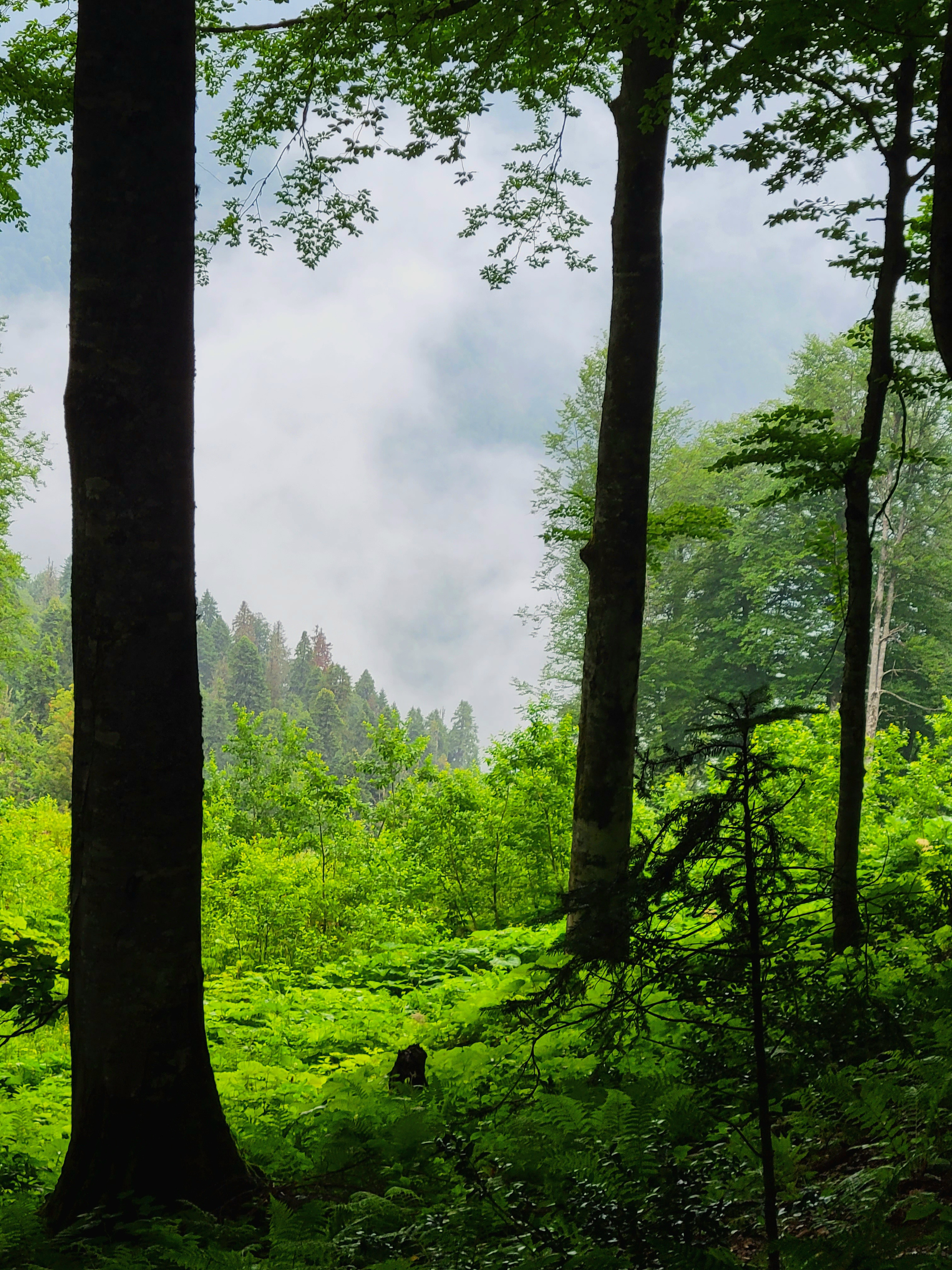 In summer it's easier to pass them