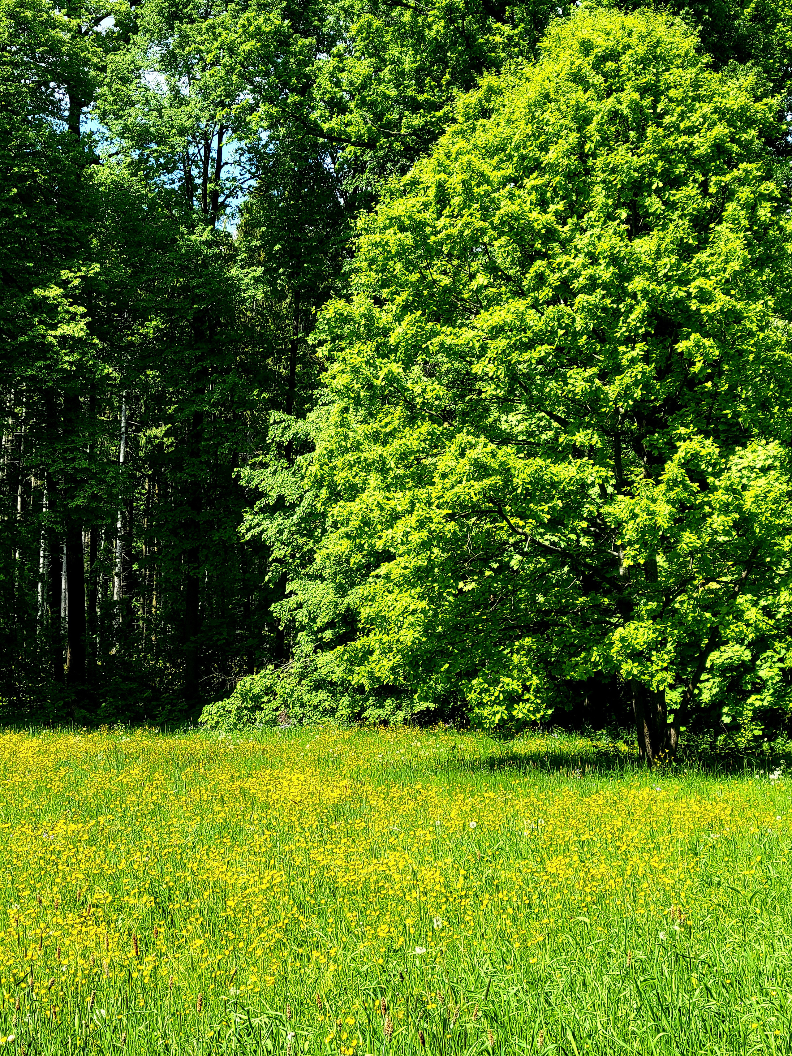 Тула. 06/22. Walk & Fly with Batay