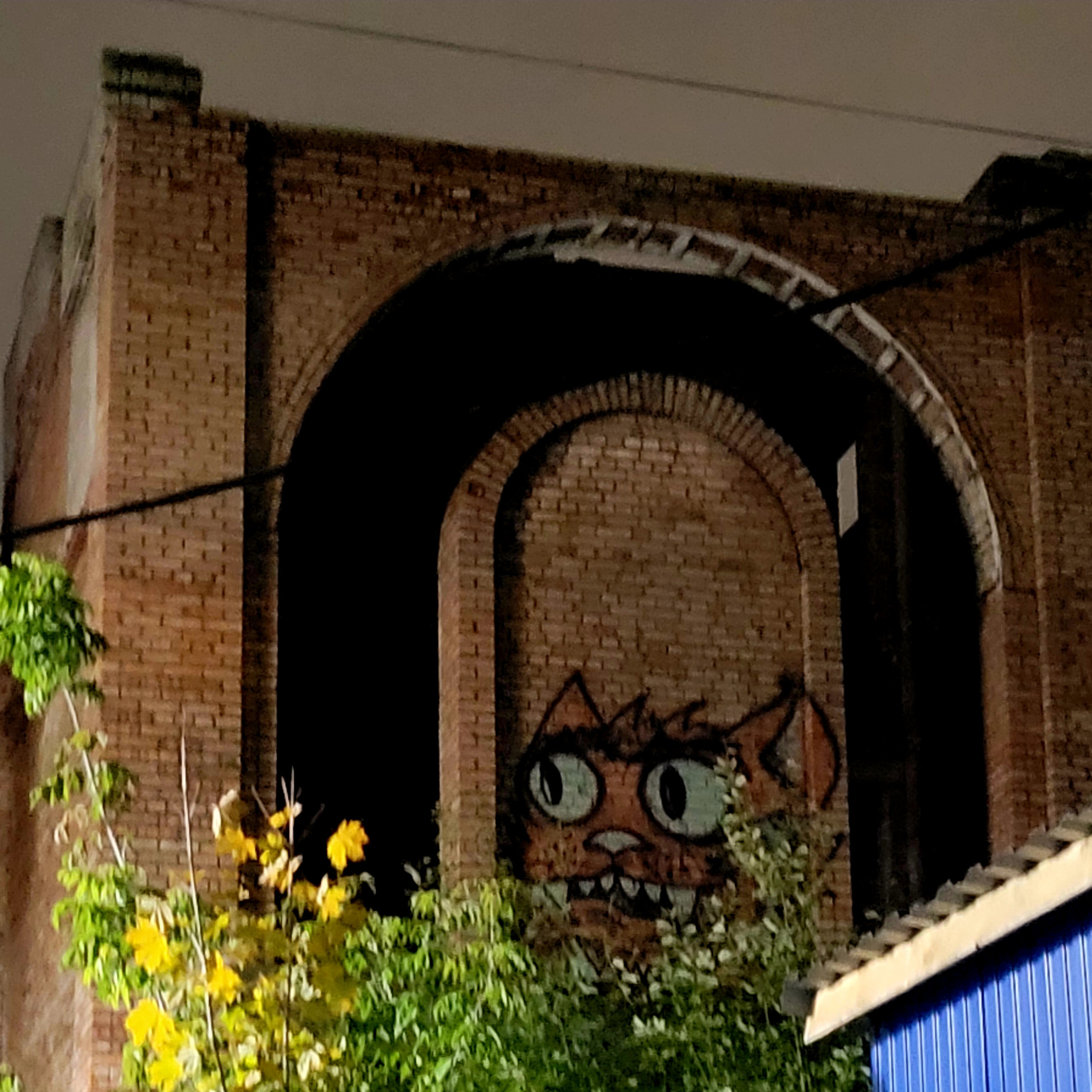 Местное привидение