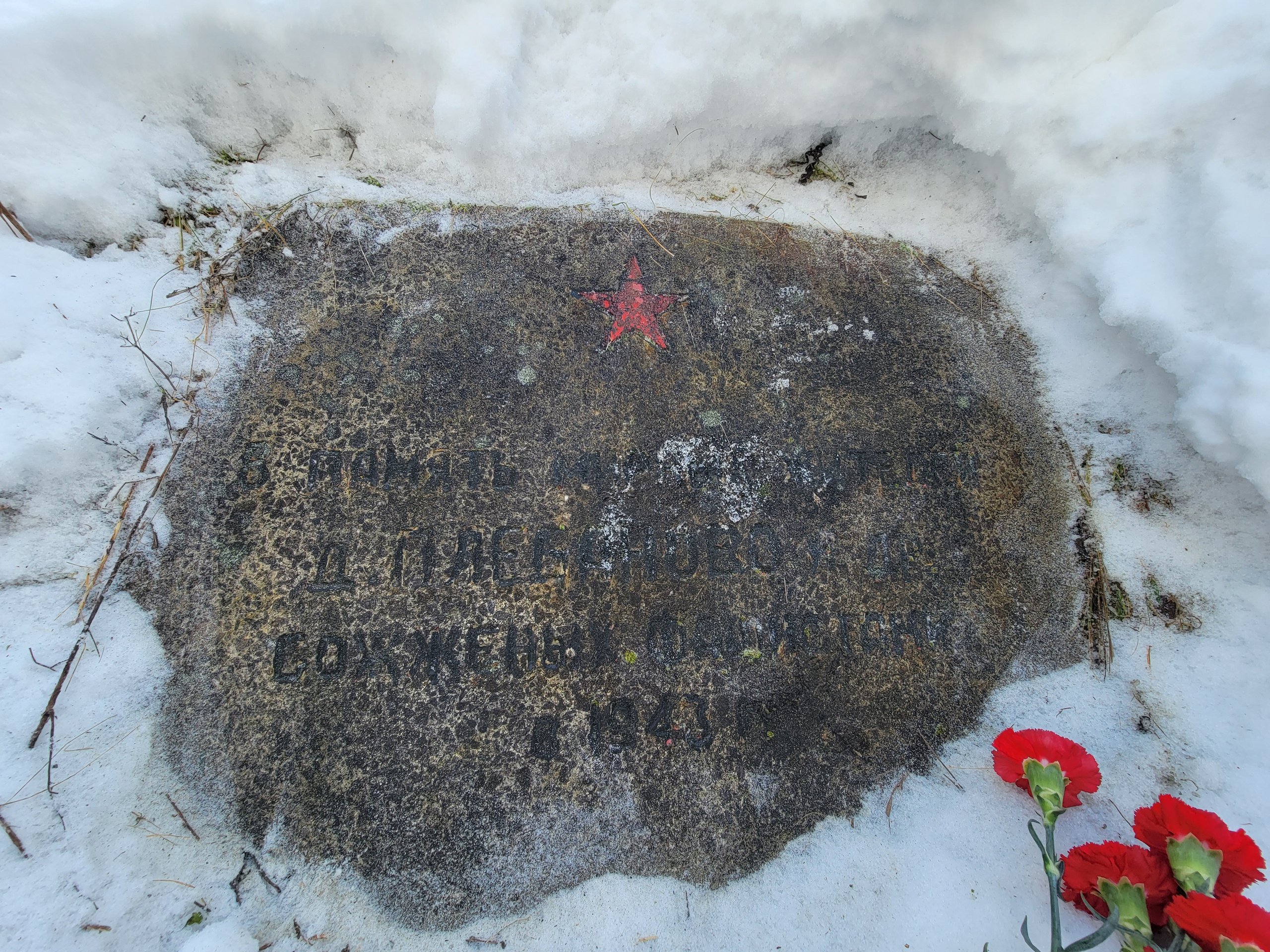 В эти даты (25-26 февраля) 1943 г деревню сожгли фашисты. Операция "Зимнее кружево"