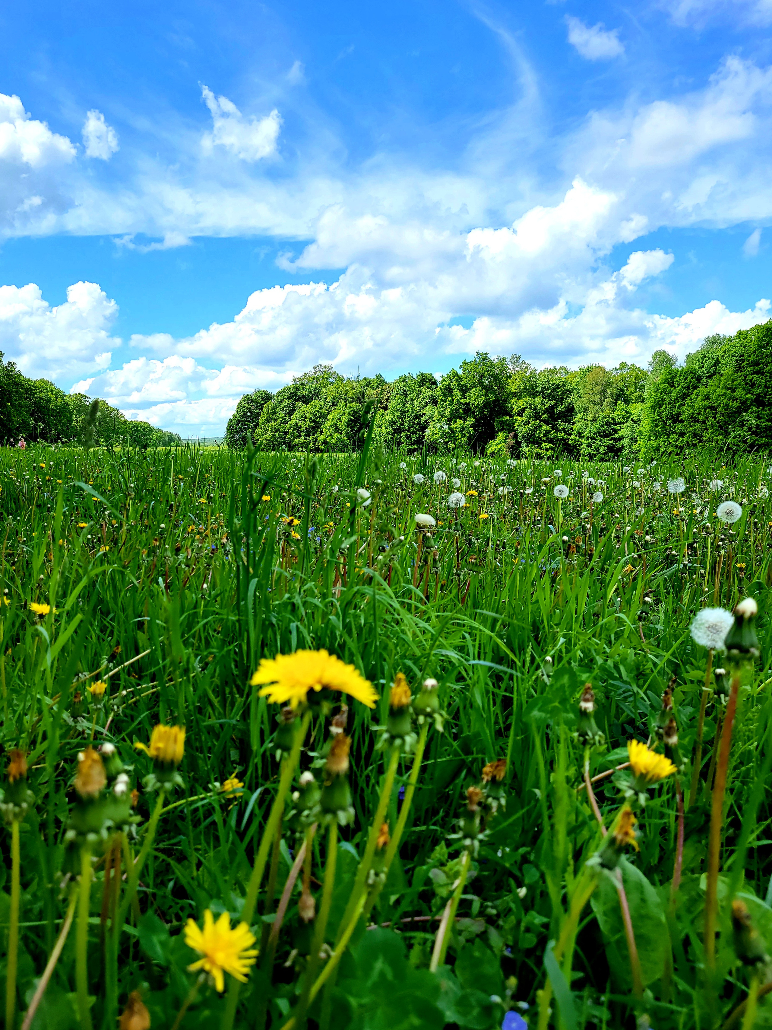 Тула. 06/22. Walk & Fly with Batay