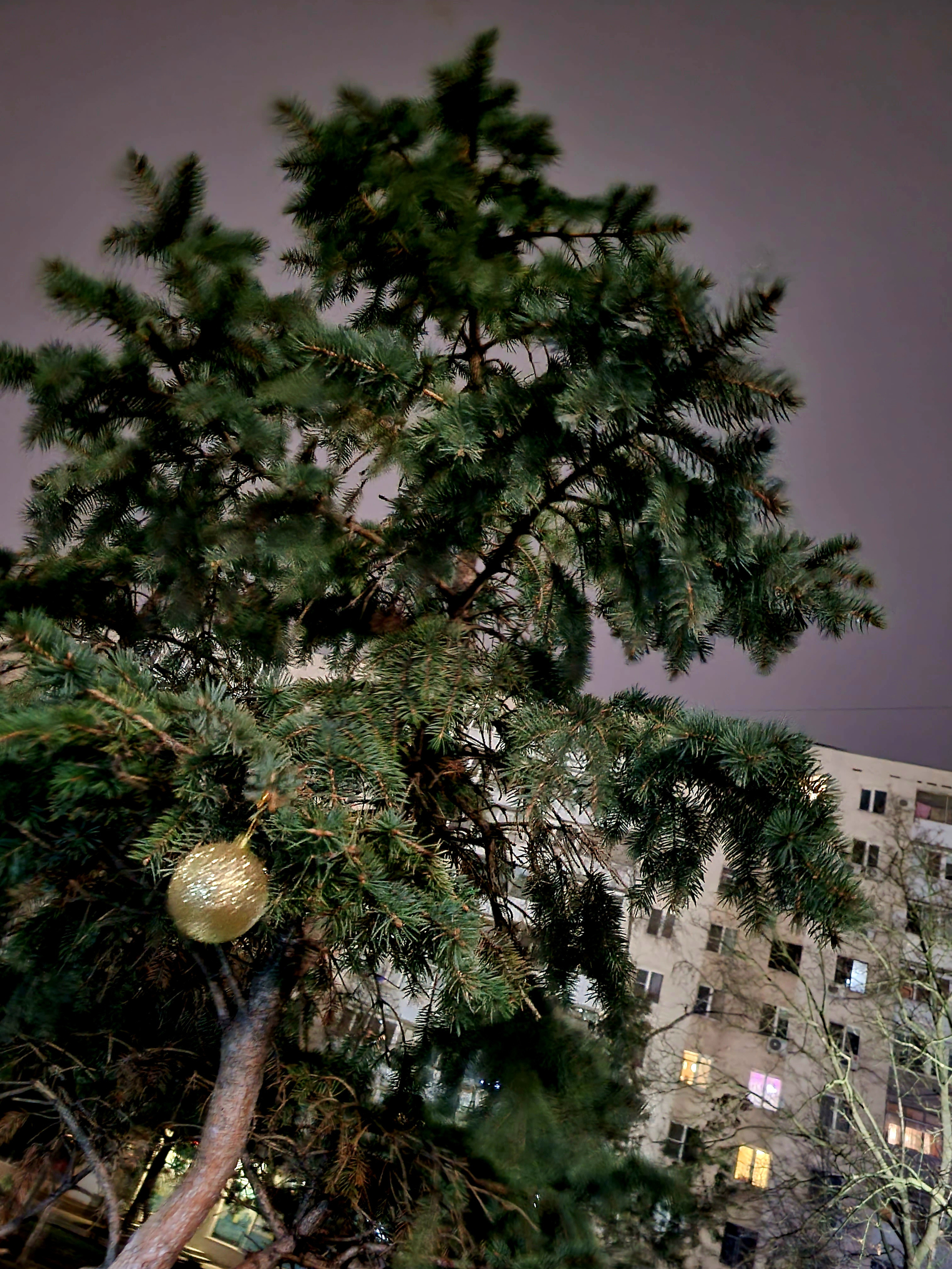 Одинокий шарик напоминает, что сегодня - 1 января