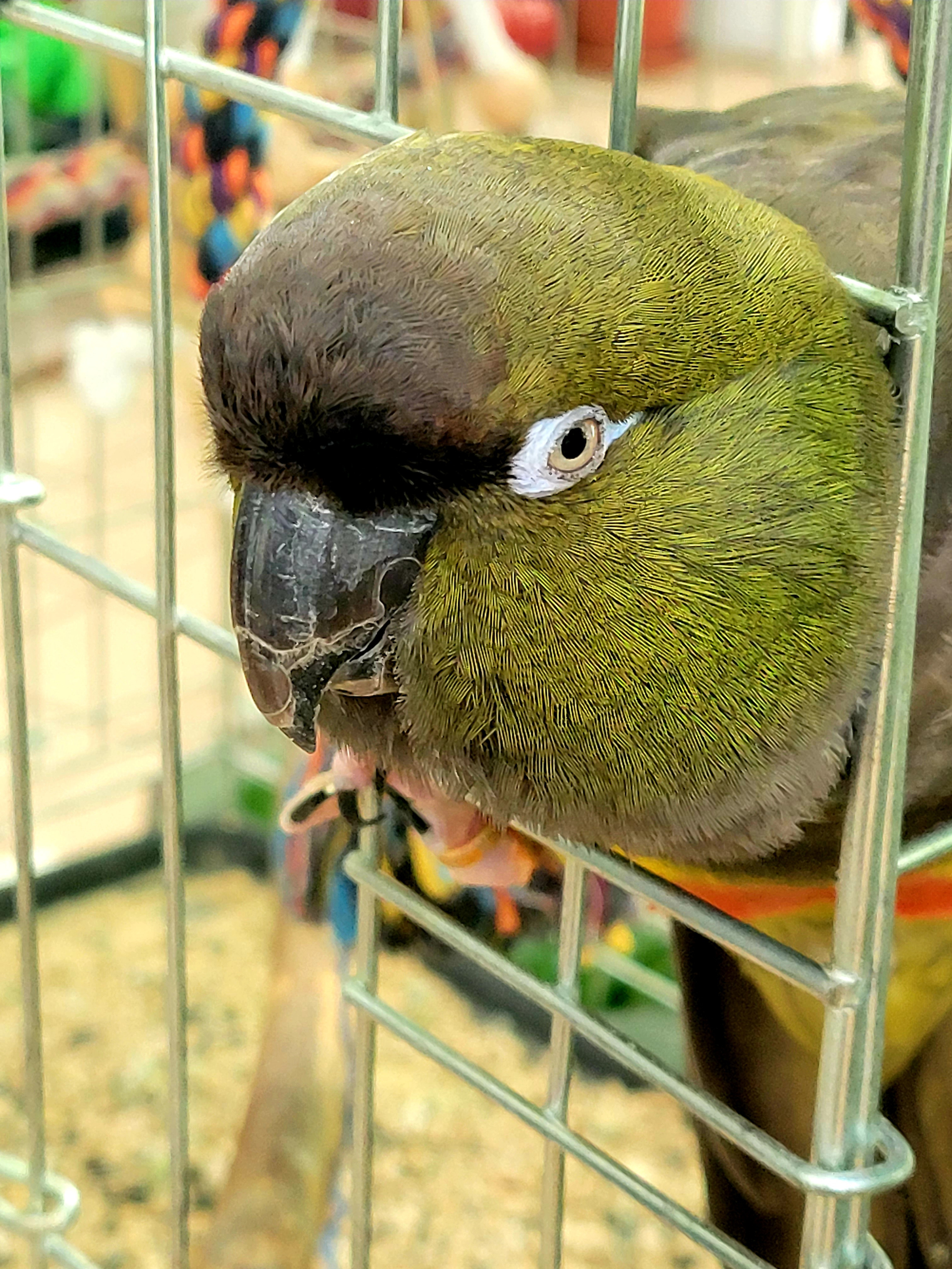 Перед отъездом заглянули в ботанический сад. 