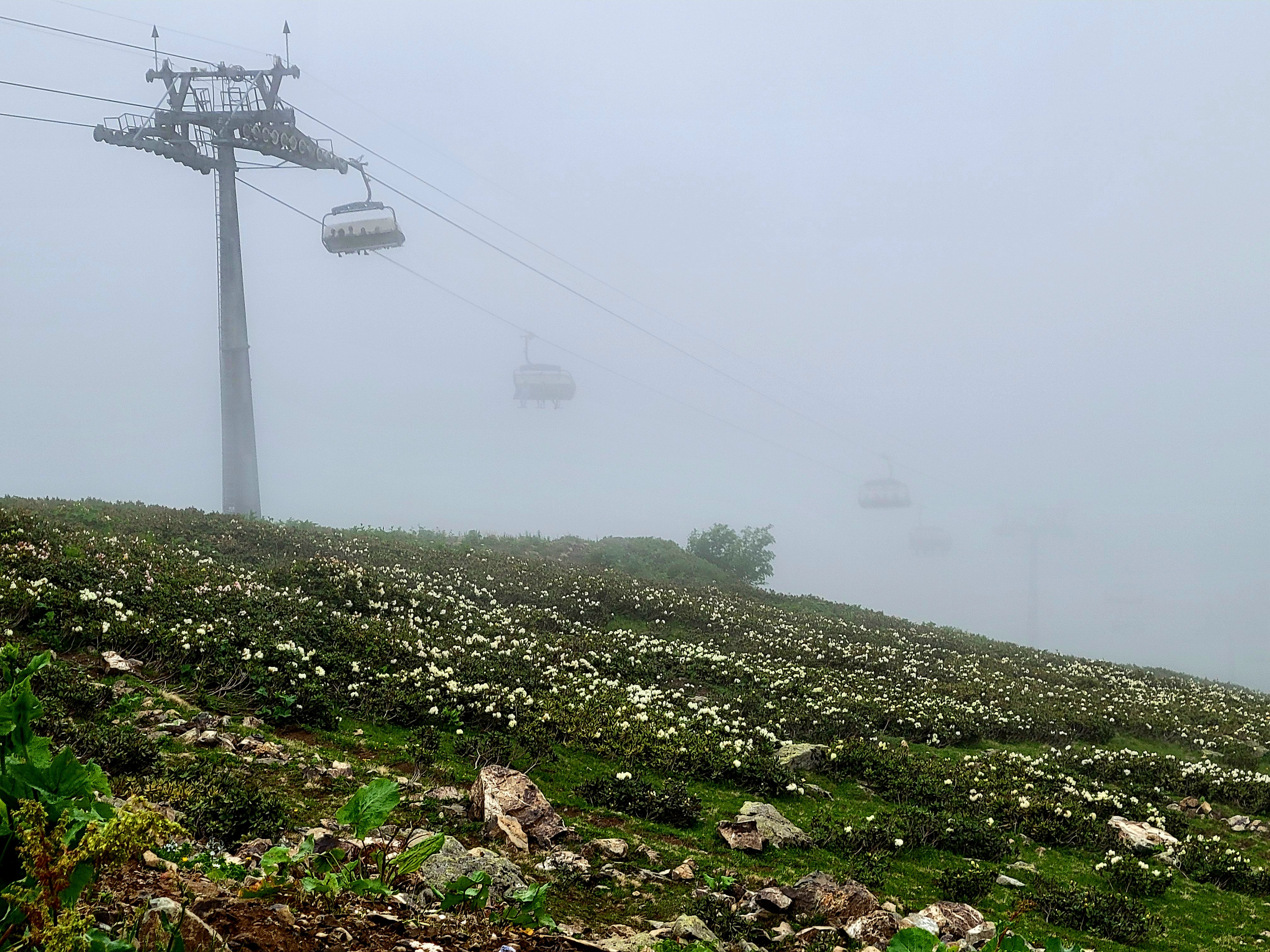 Beauty makes me stop each 50 m and take photos