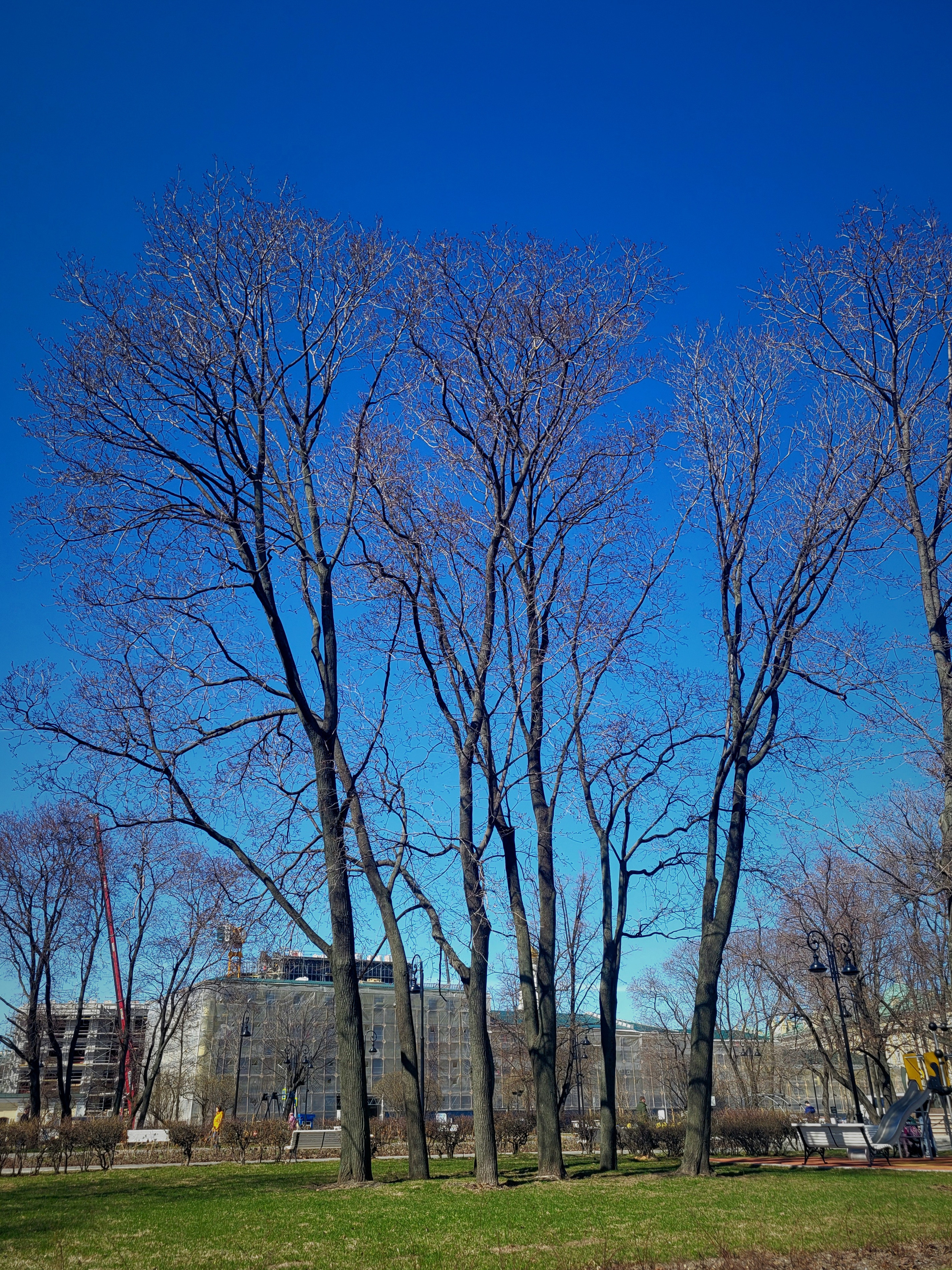 Потом обедо-ужин и домой
