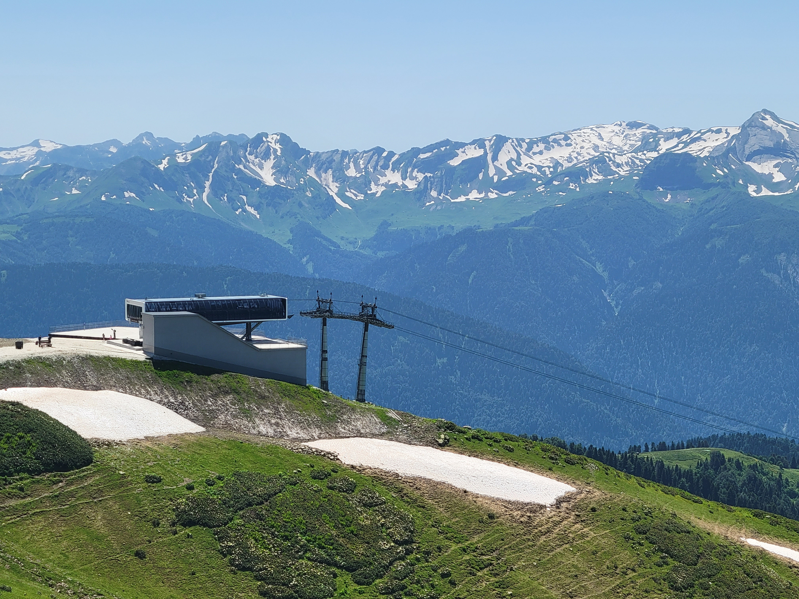 And all are green around. 