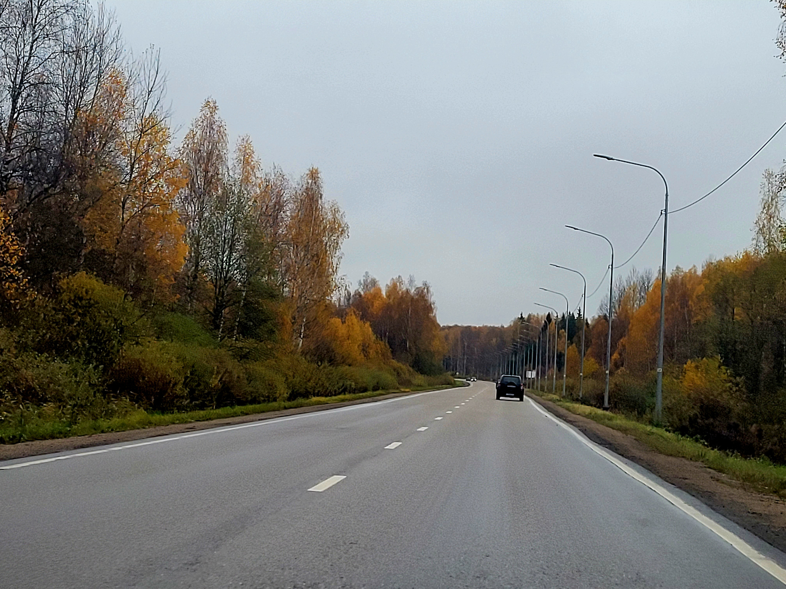Autumn forest along the road. Visited for some hours Gagrin with intersting Gagagrin's museum.