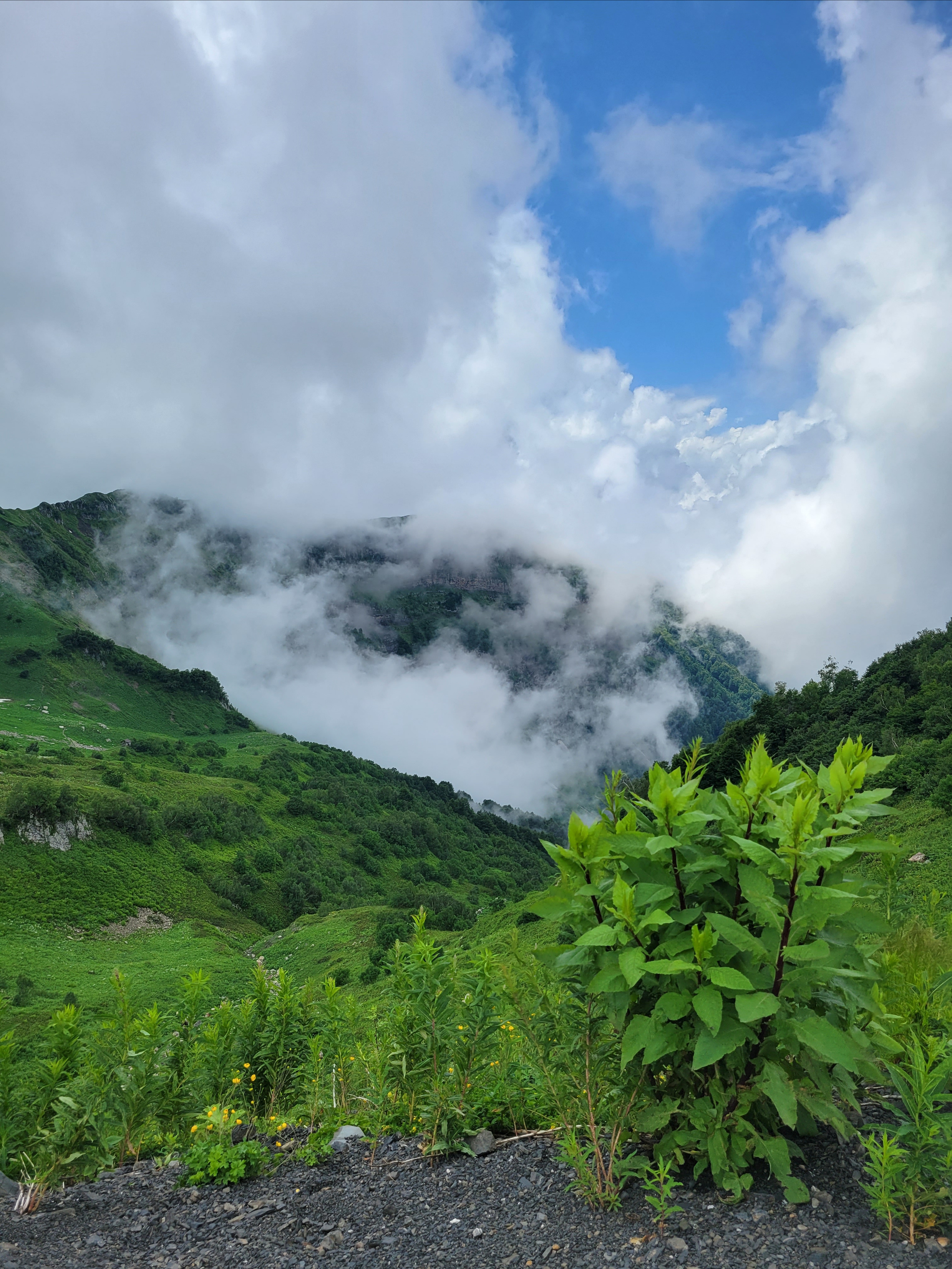 Walking in mountains is better than in waves with medusas