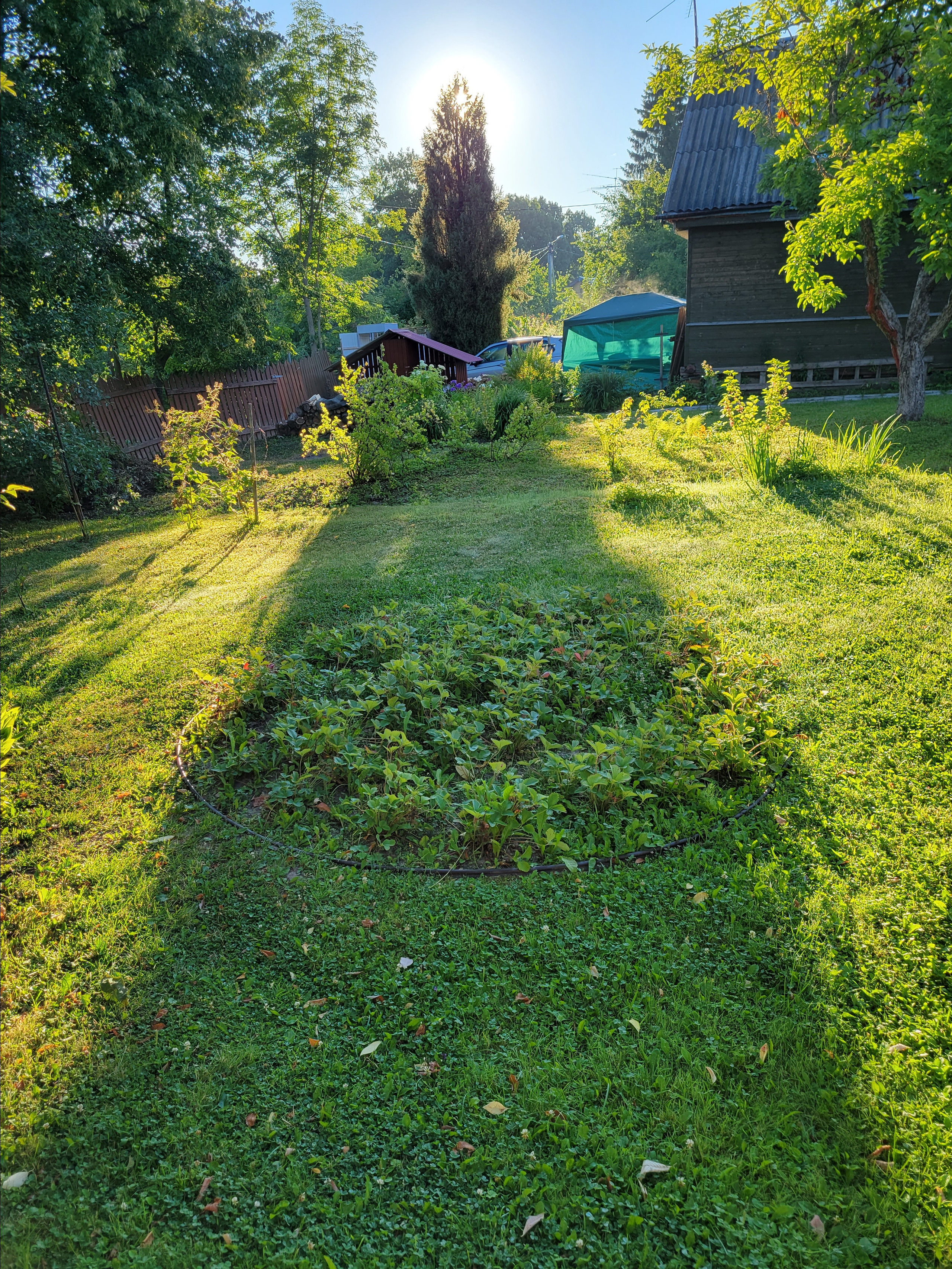 Раннее утро