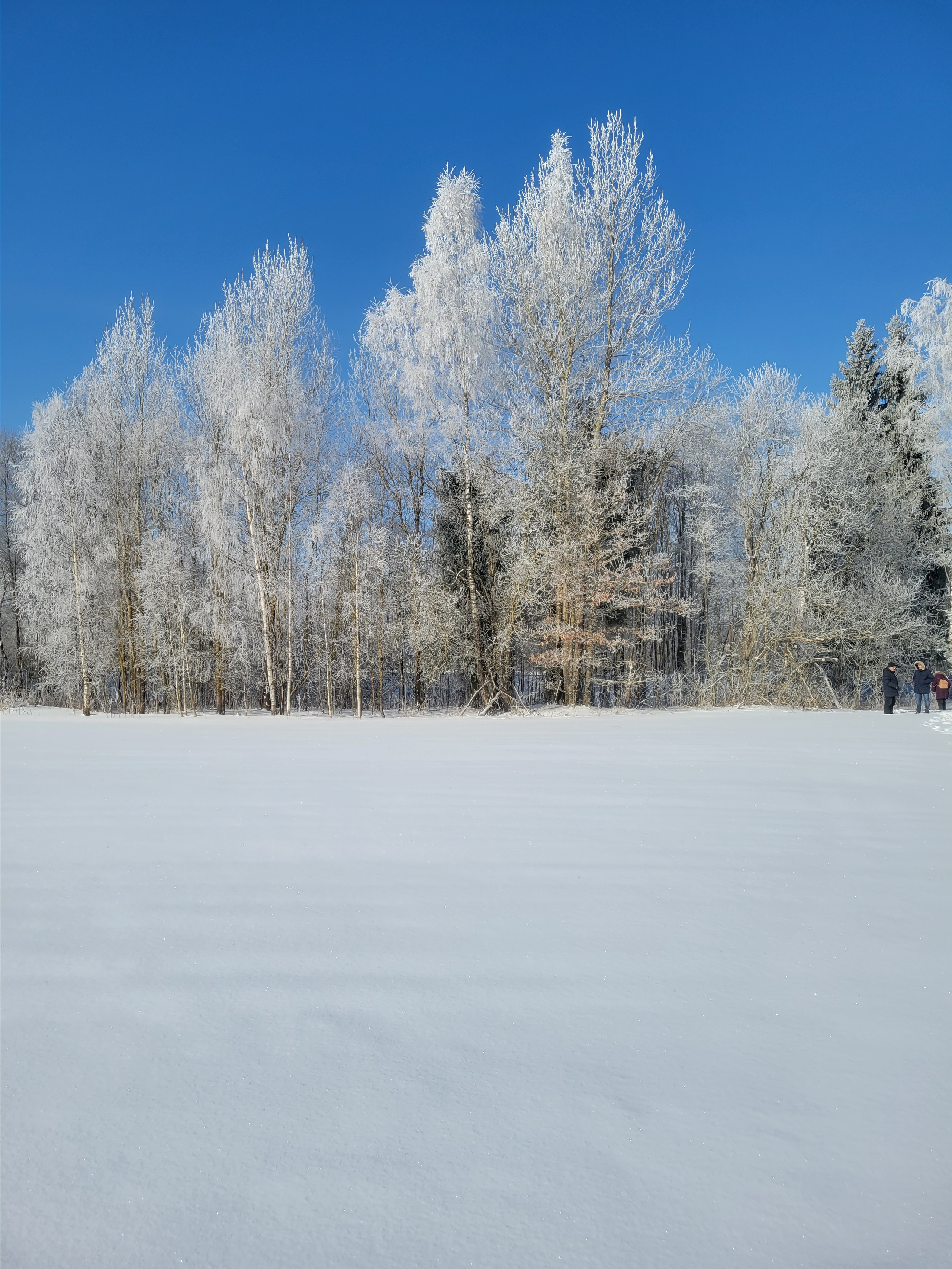На этом месте была центральная улица