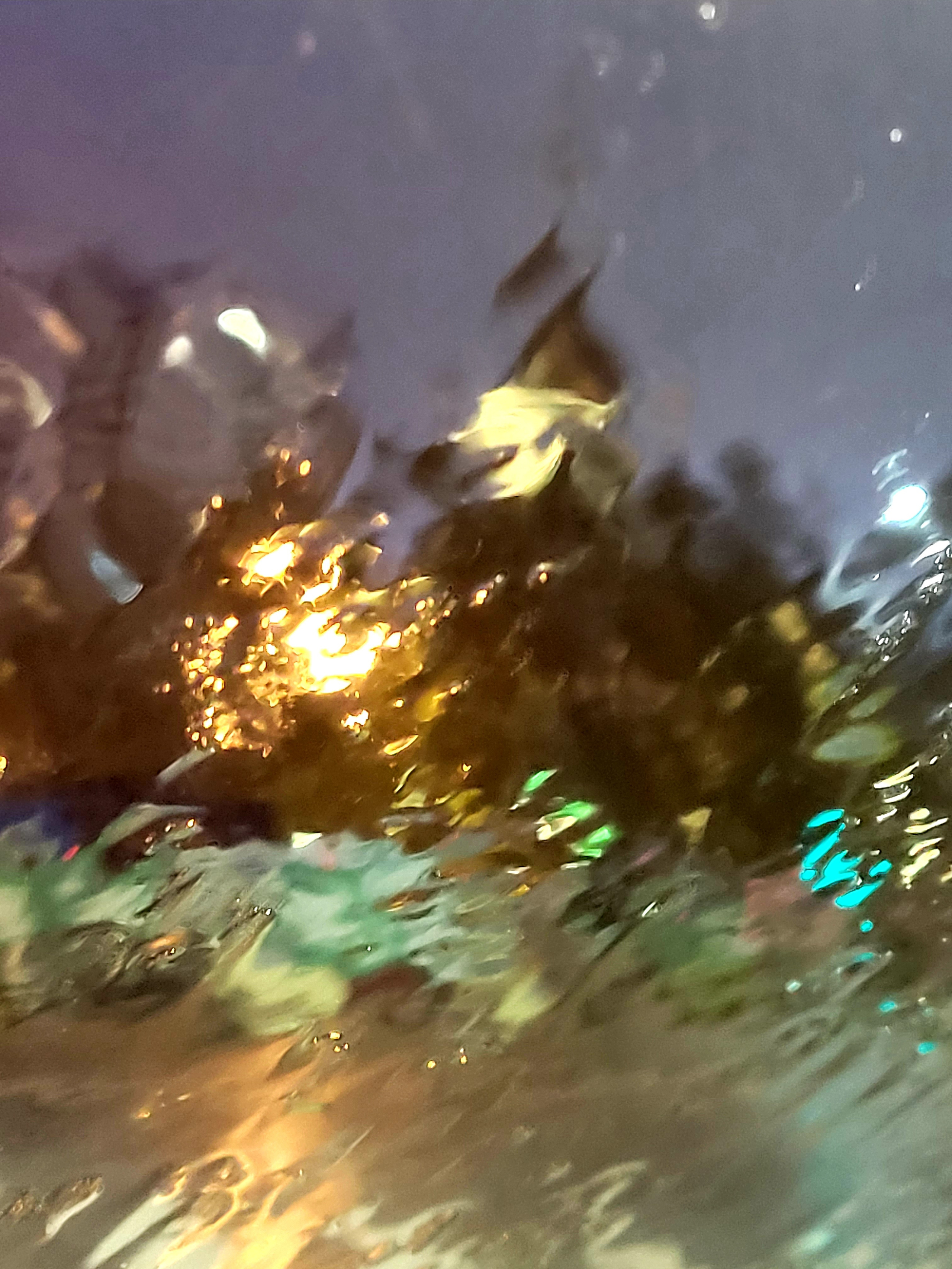 Suddenly started raining cats and dogs