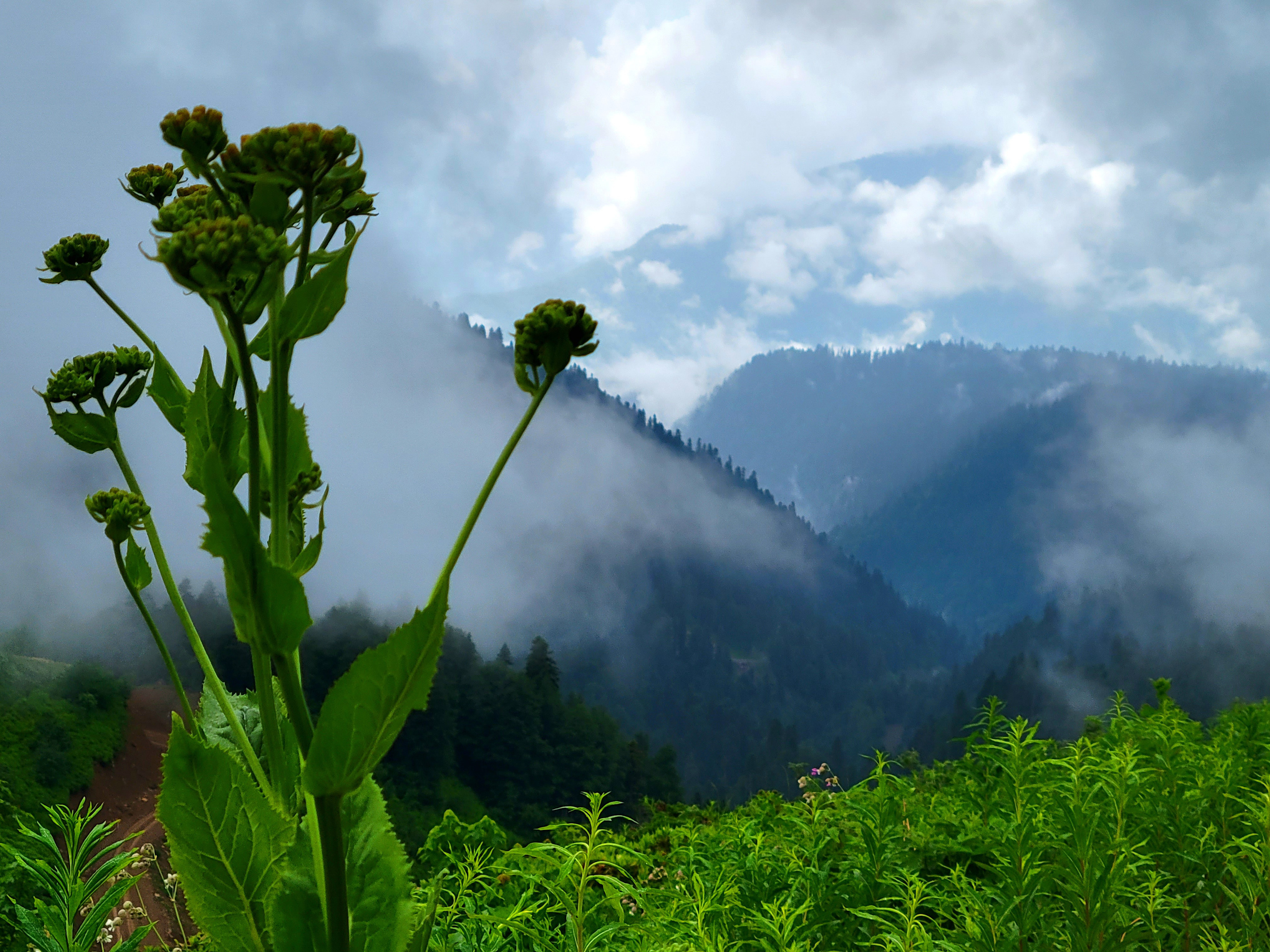 Some kilometers down by not very rough trail