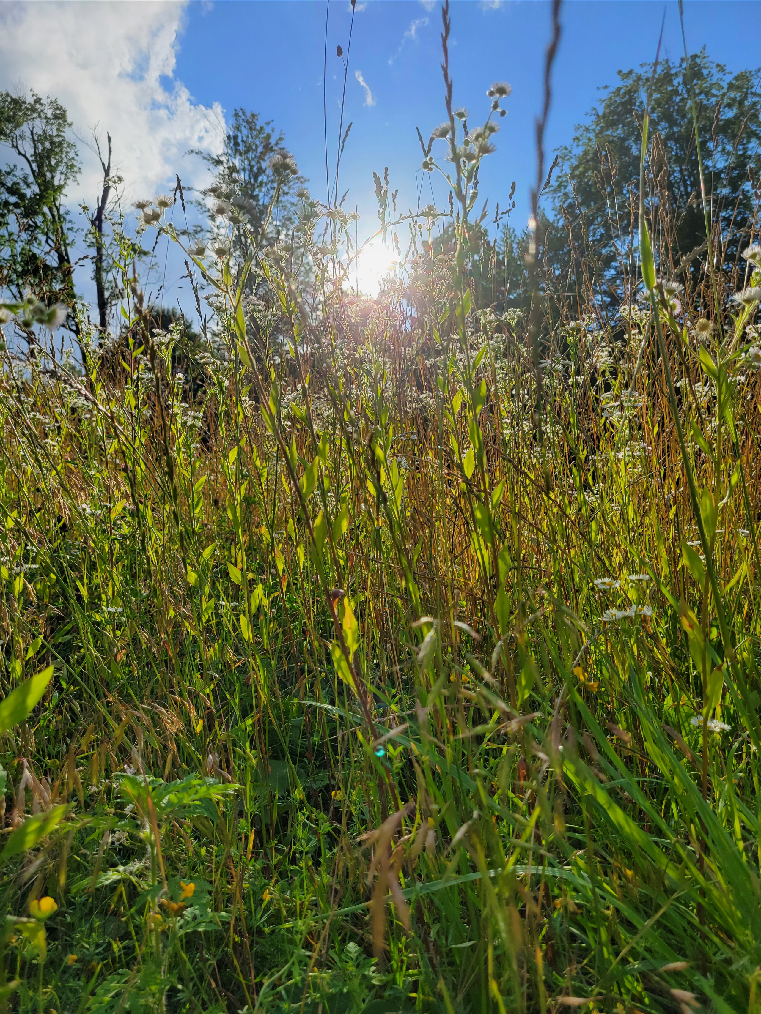 Started our way home under the rain, that caused waterflow in Adler two hours later