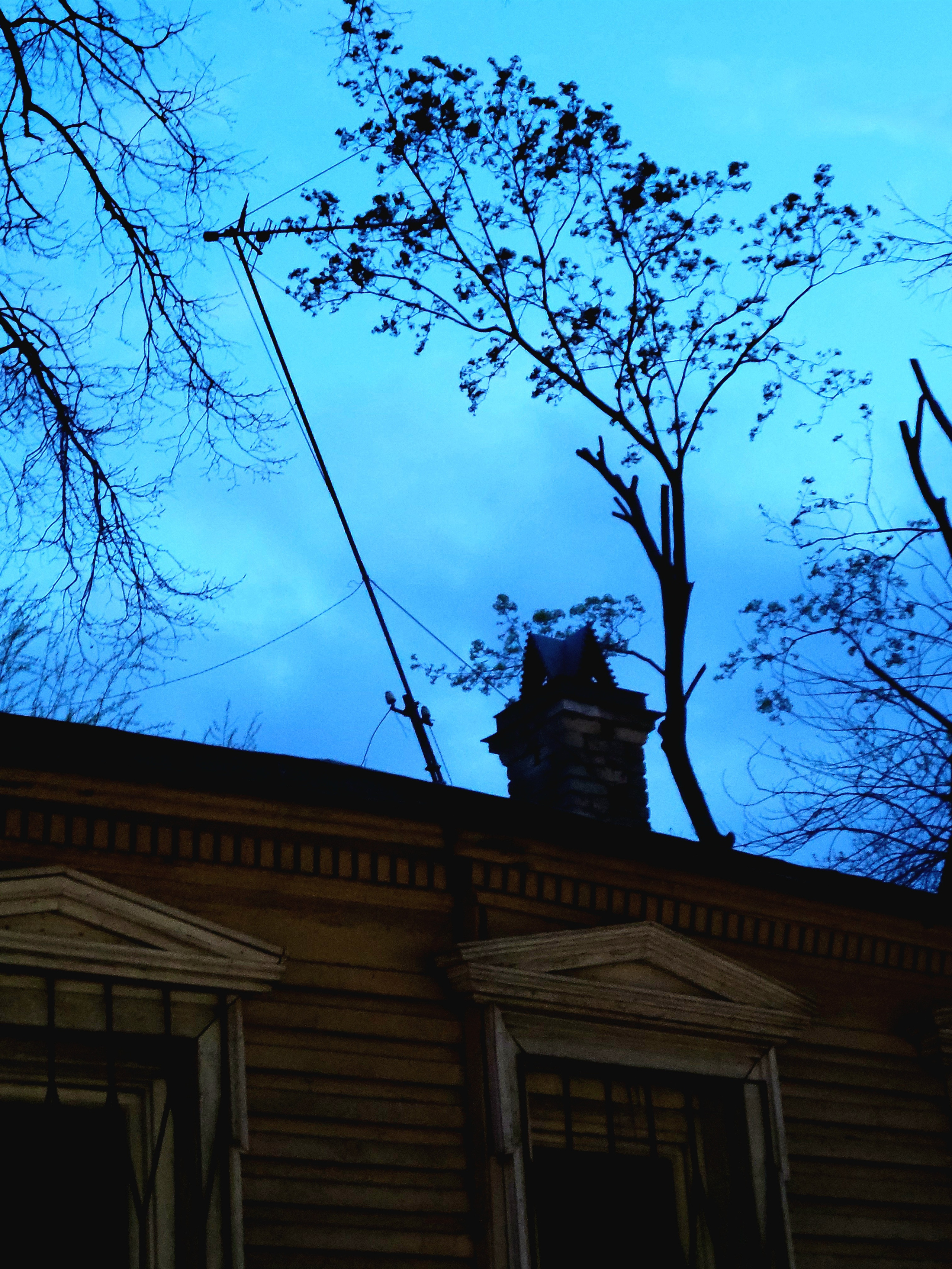 Современные здания из бетона и стекла, а рядом 1-2 этажные усадьбы из дерева