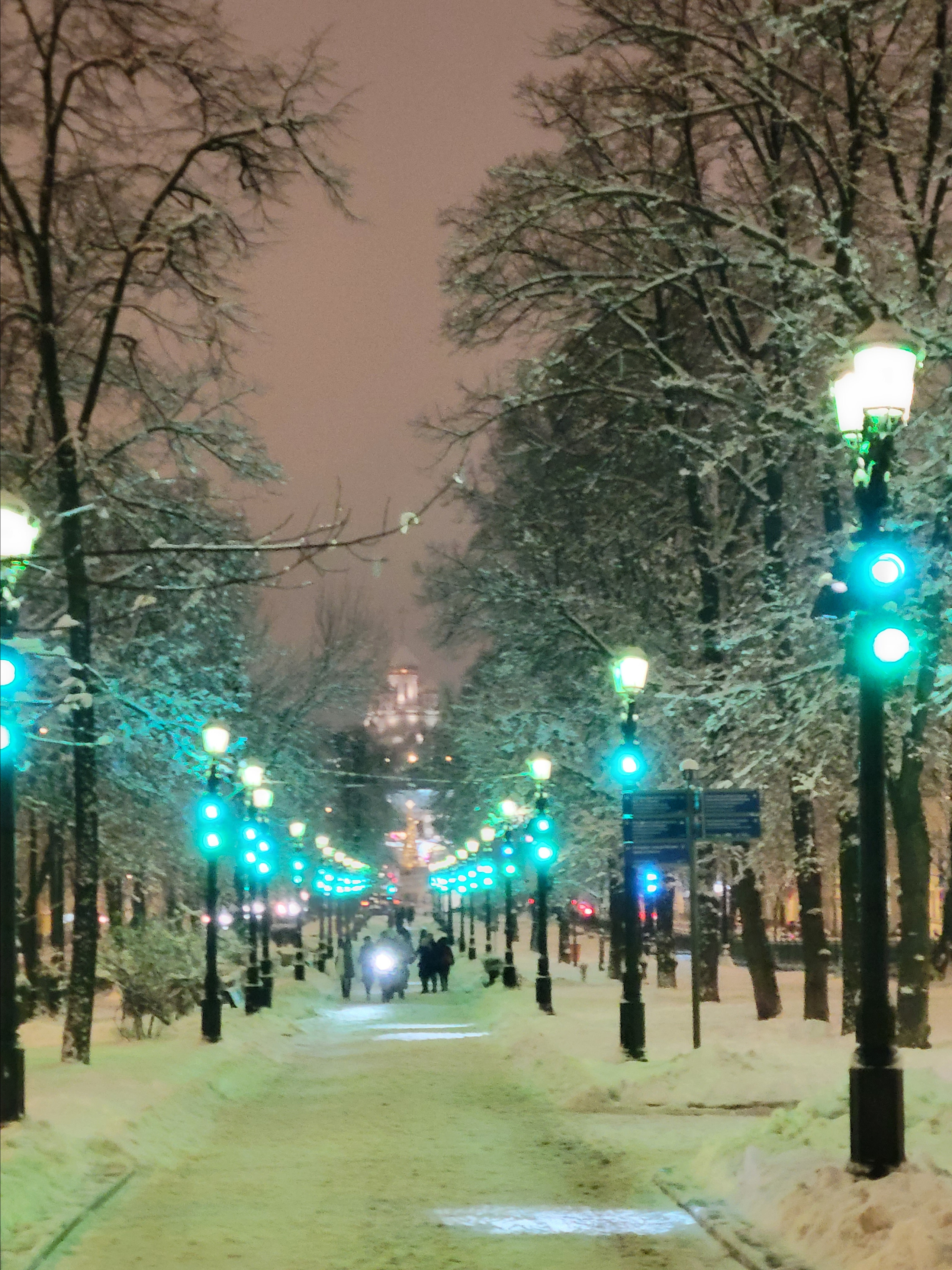 Волшебные фонарики после снегопада выглядят как дорогой в волшебный новогодний мир