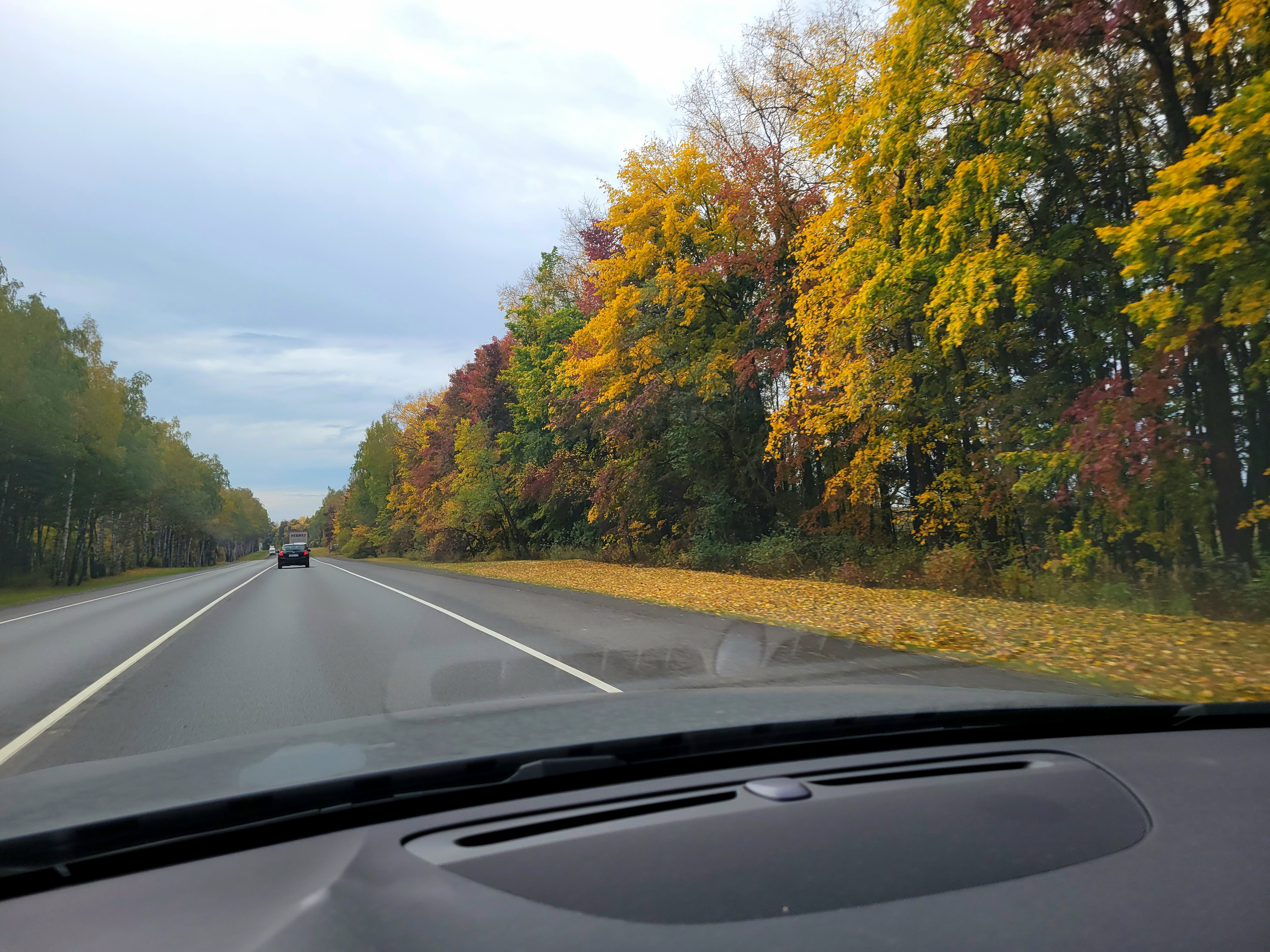 Осенняя дорога