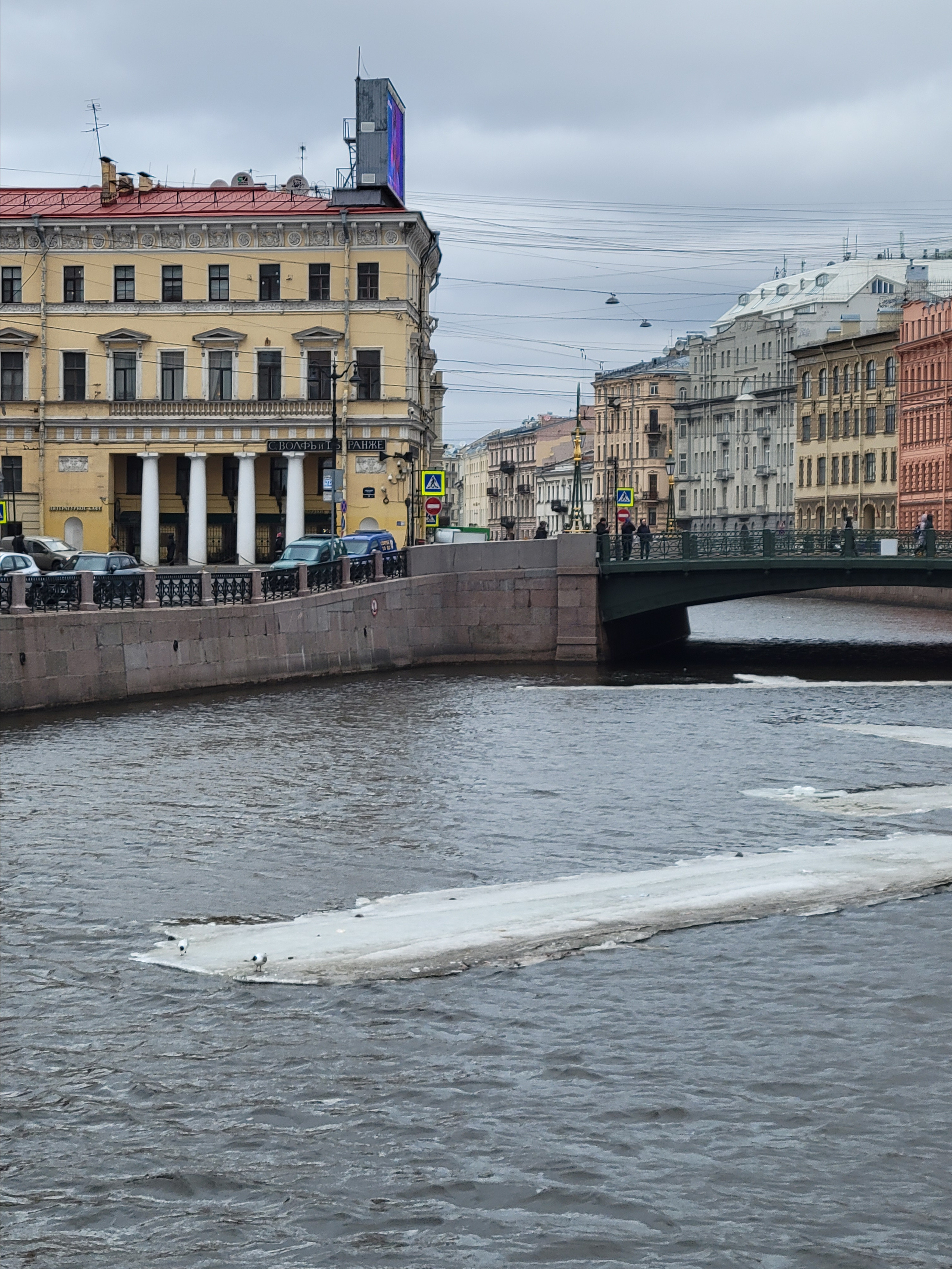 На Мойке вместо корабликов льдинки, на которых катаются чайки 