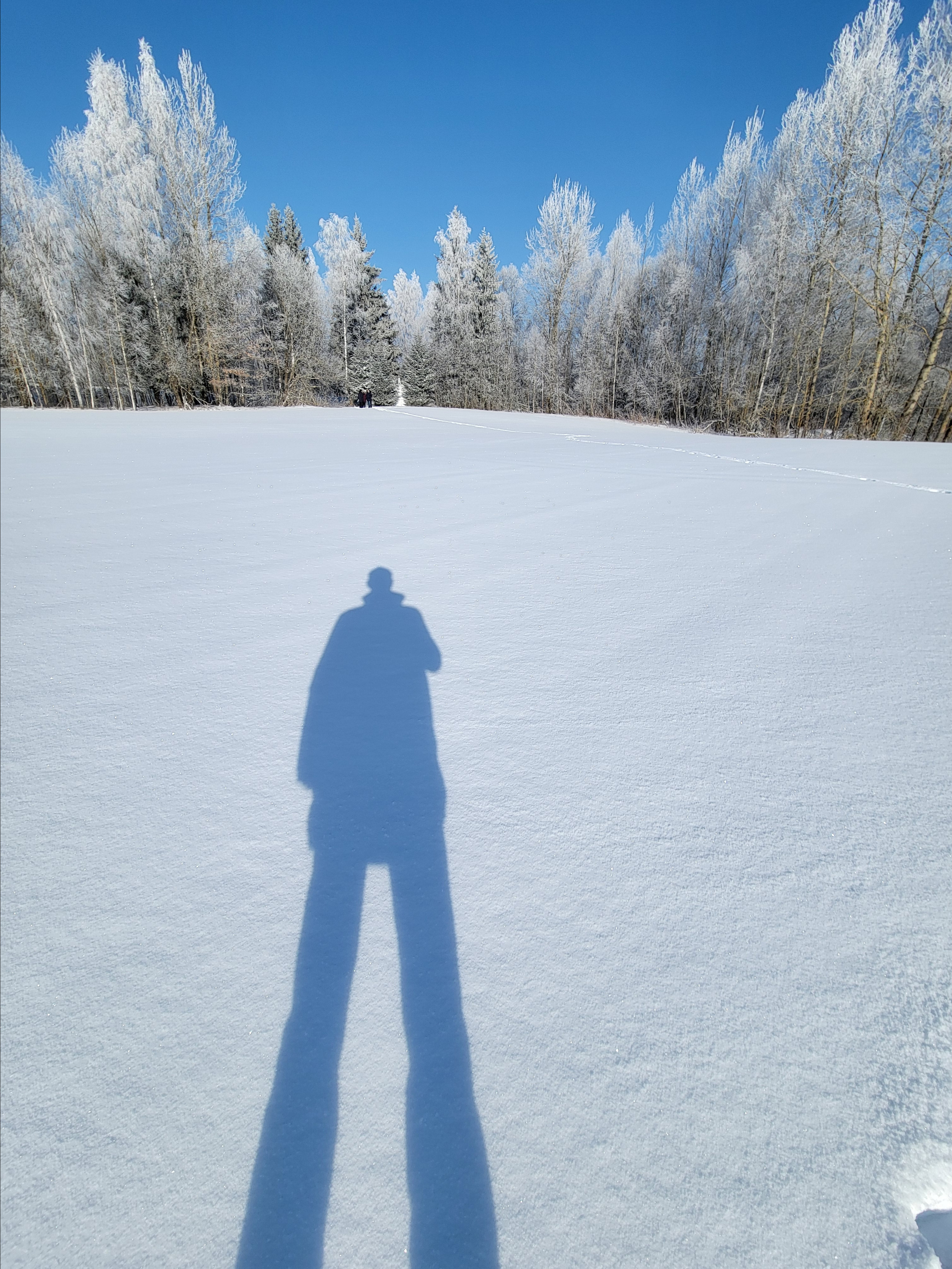 Раньше здесь была жизнь, деревня