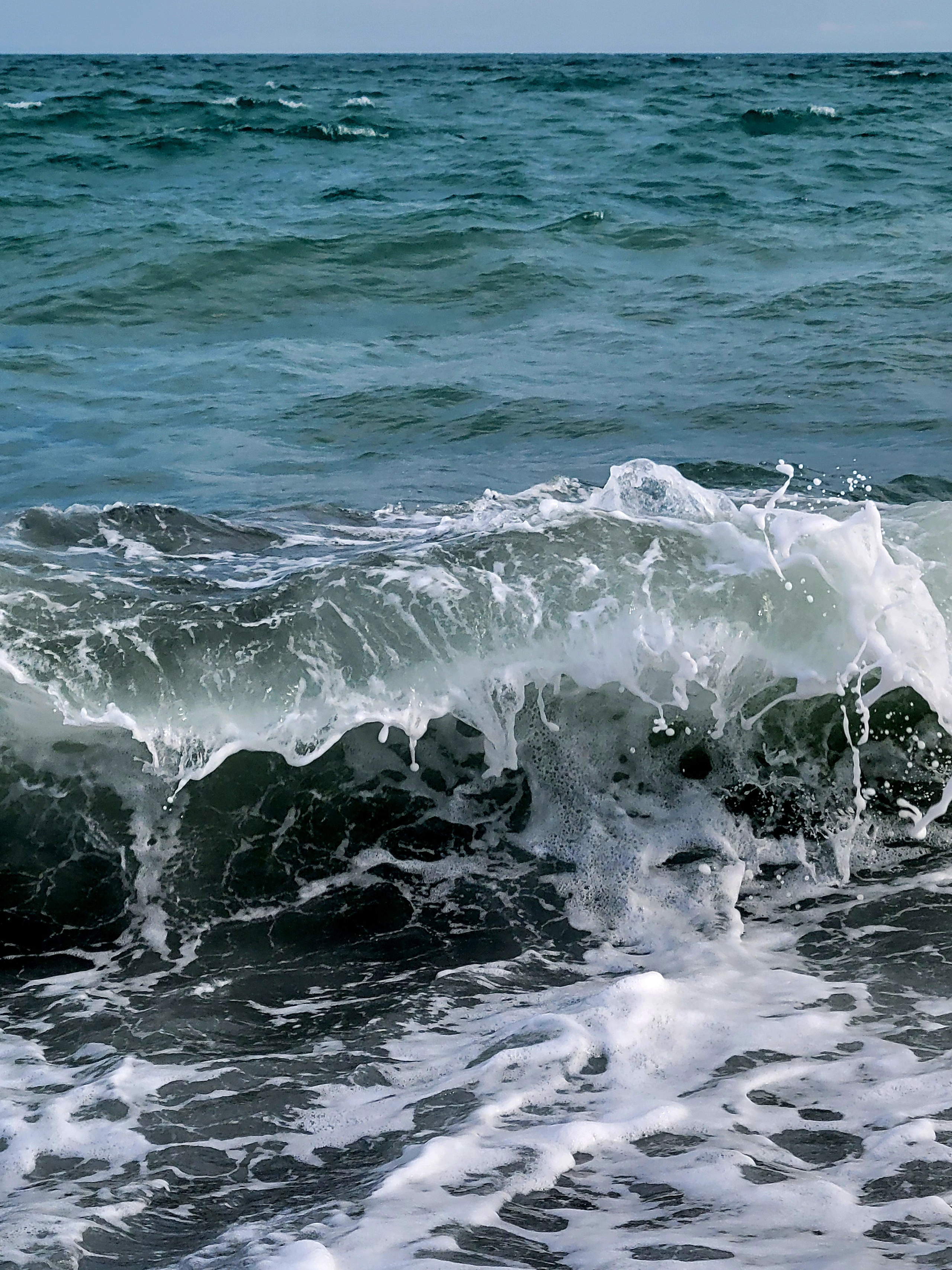 Some time came to the sea. Rosa's hoteles have their private comfortable beach. But stones, waves and medusas are the same everywhere in Sochi