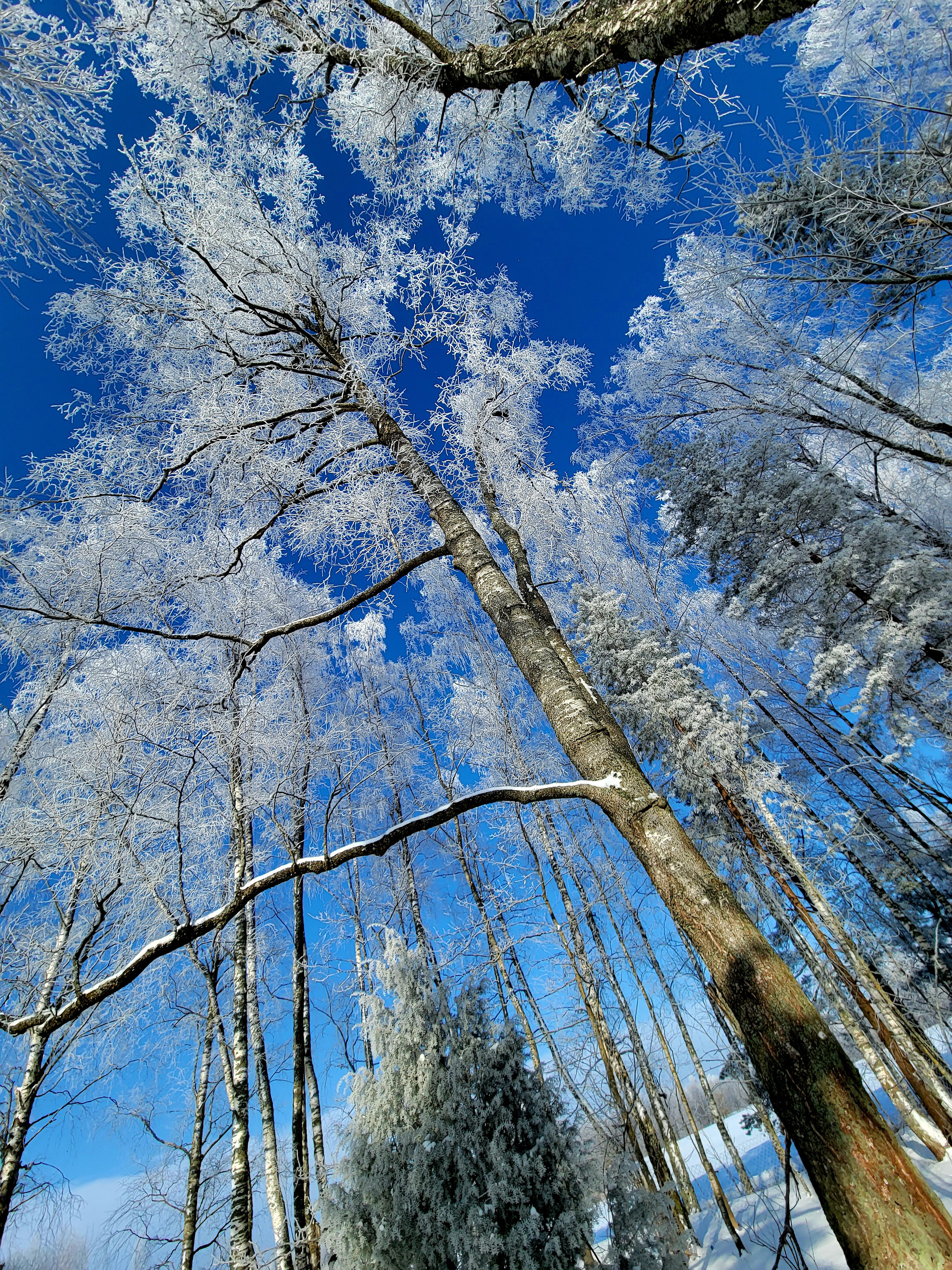 Школу партизаны пытались сжечь, но атаку отбили