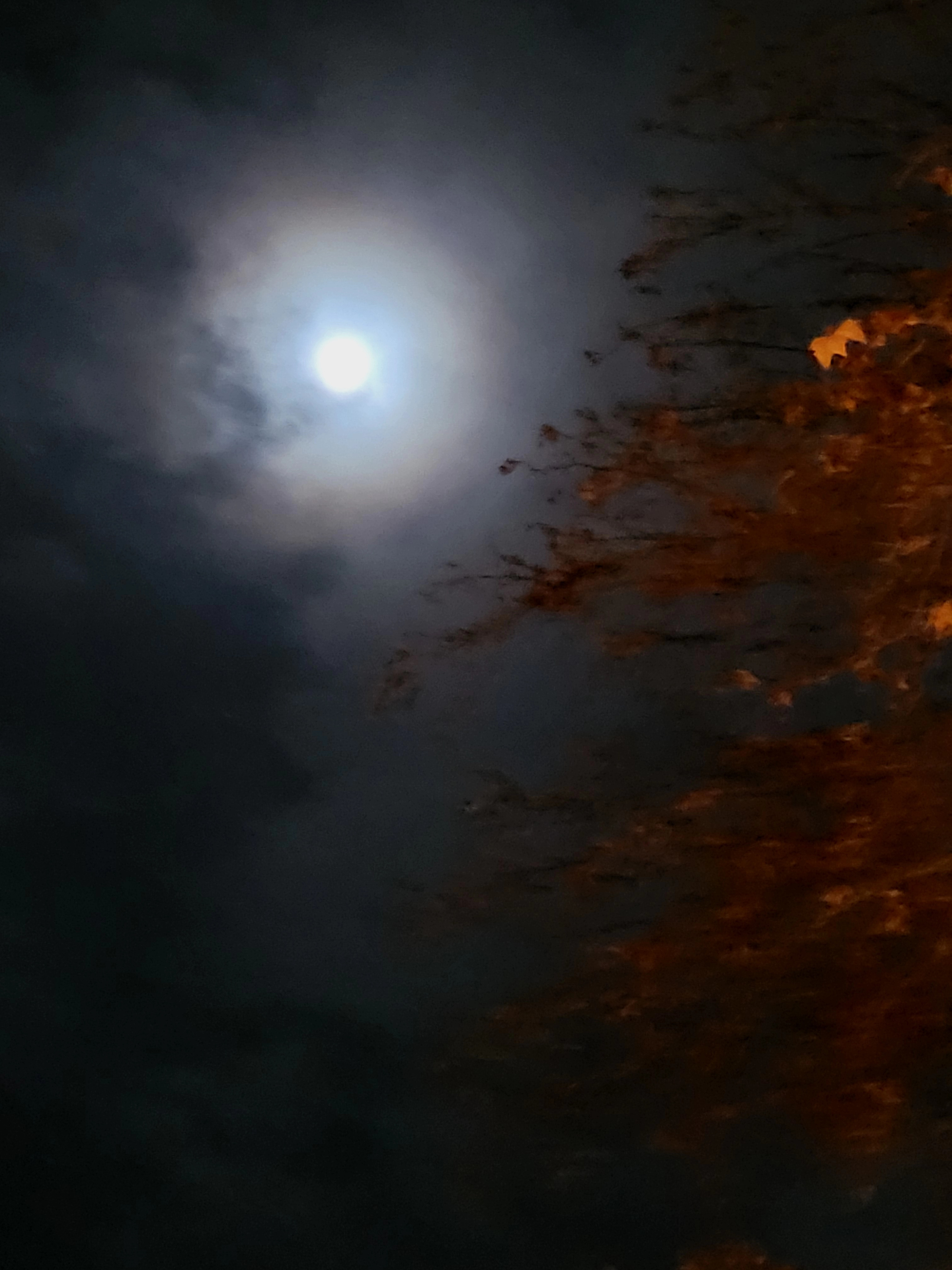 Почти полнолуние