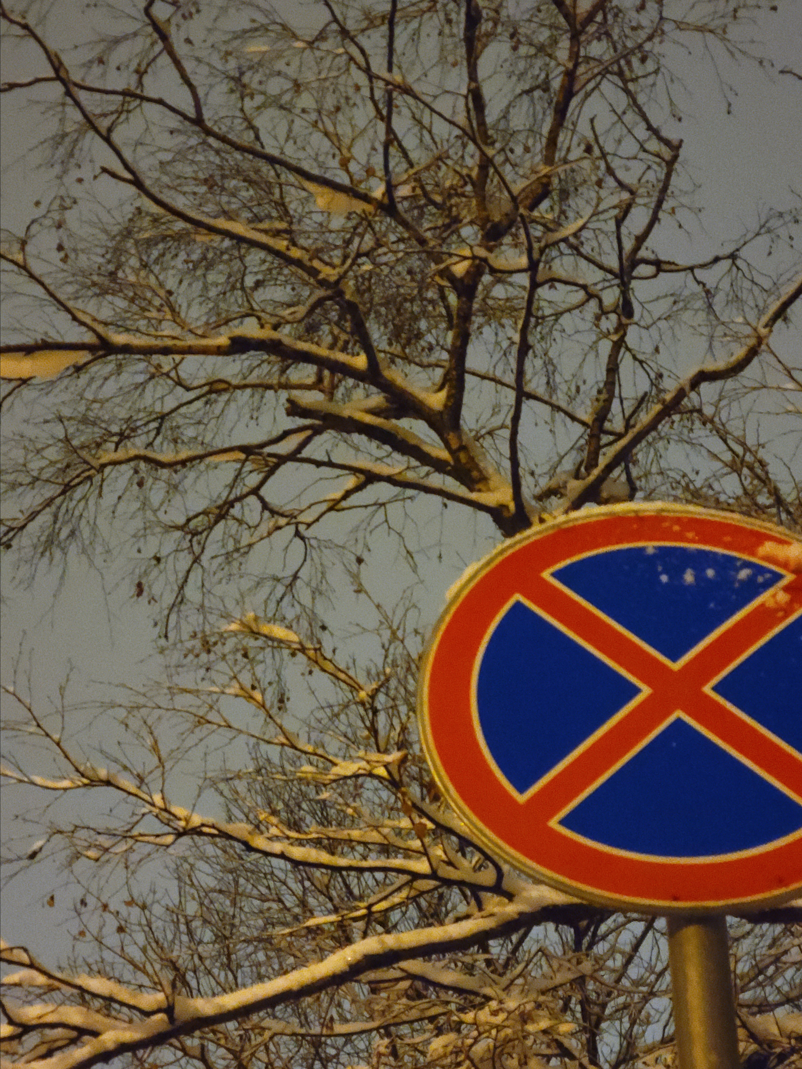 Под деревьями лучше не стоять