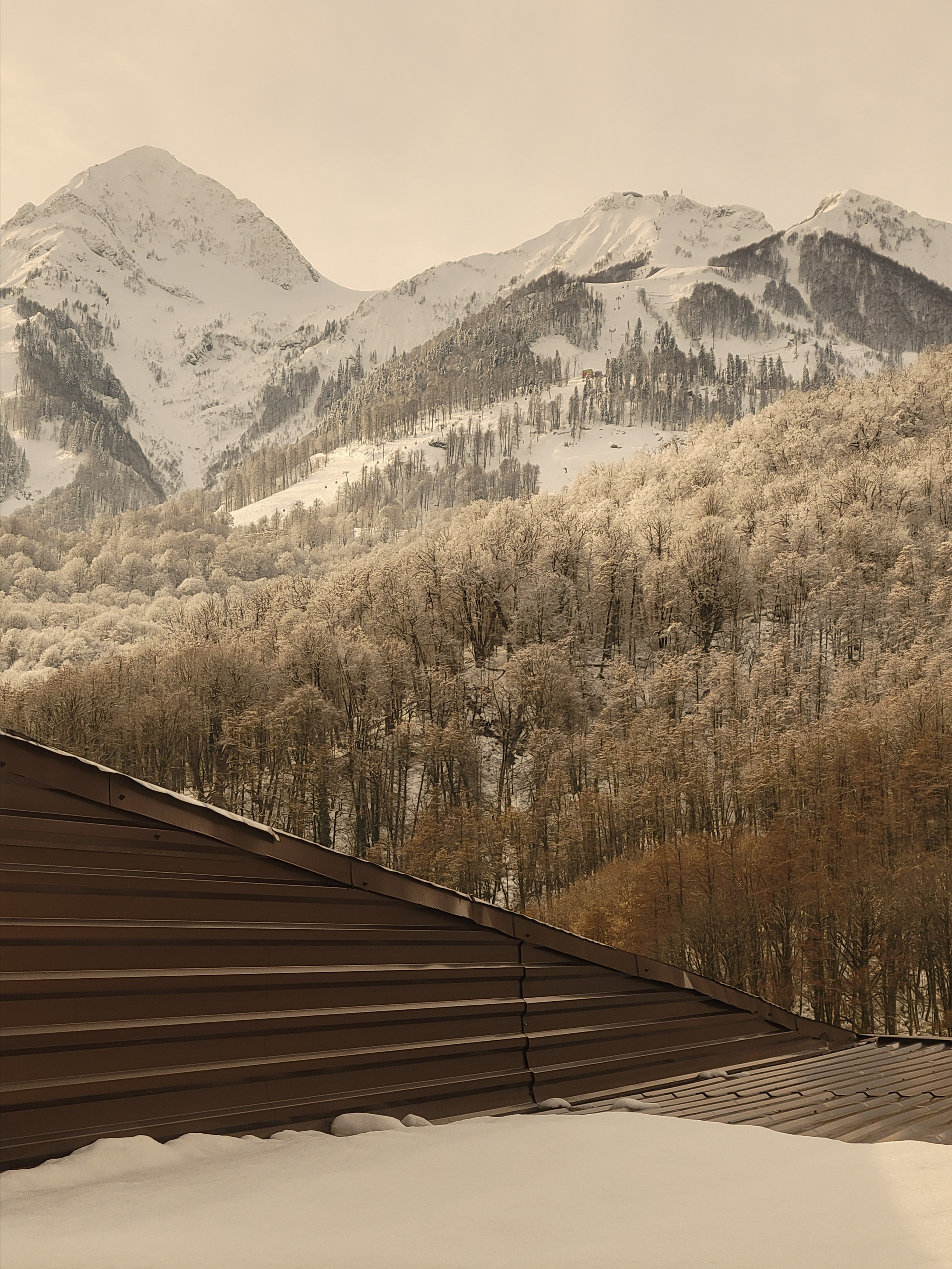 Sochi. Ski. 03/22. Walk&Fly with Batay