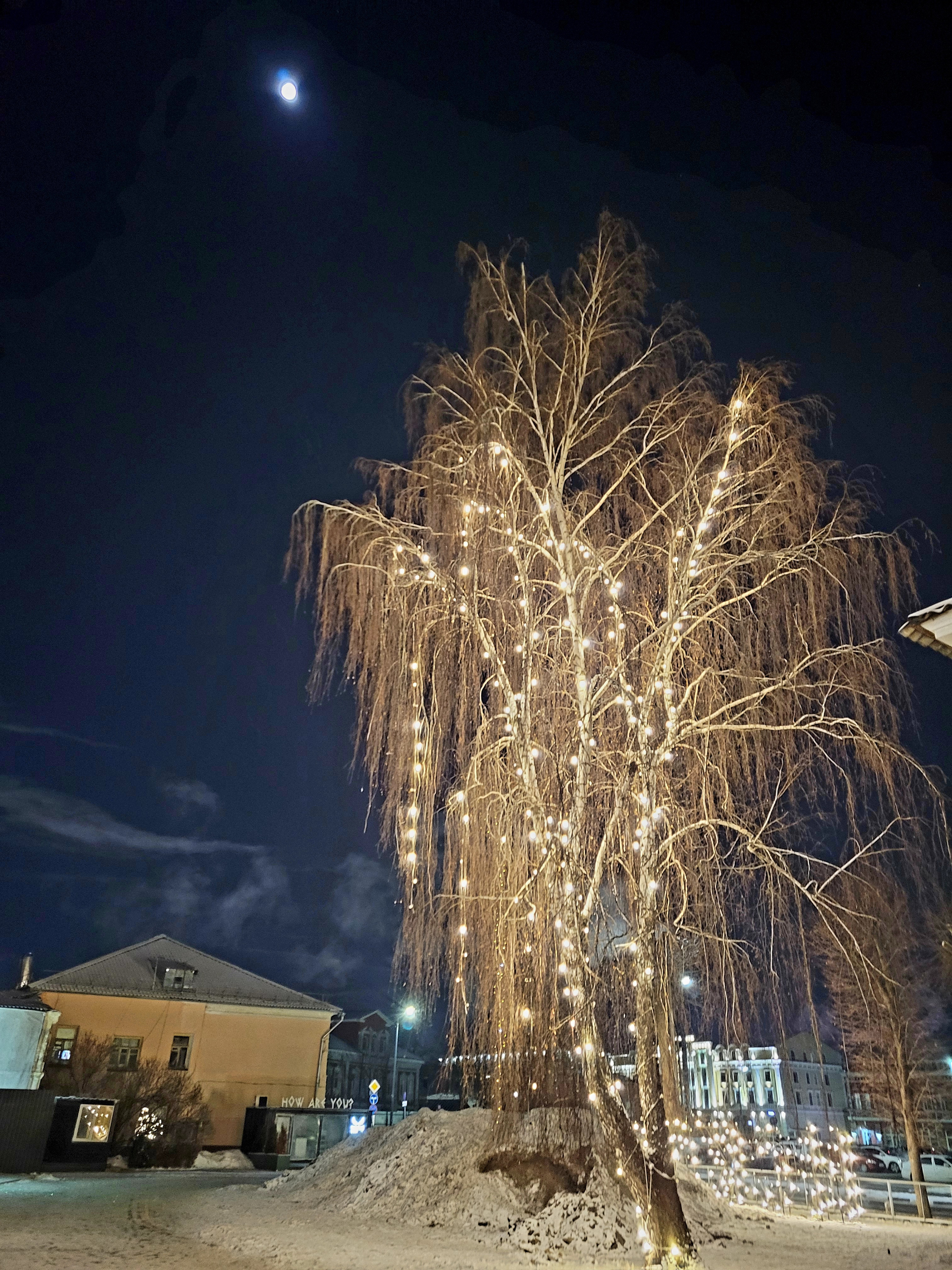 Хватило меня в лунную ночь на 15 кадров за 8 минут