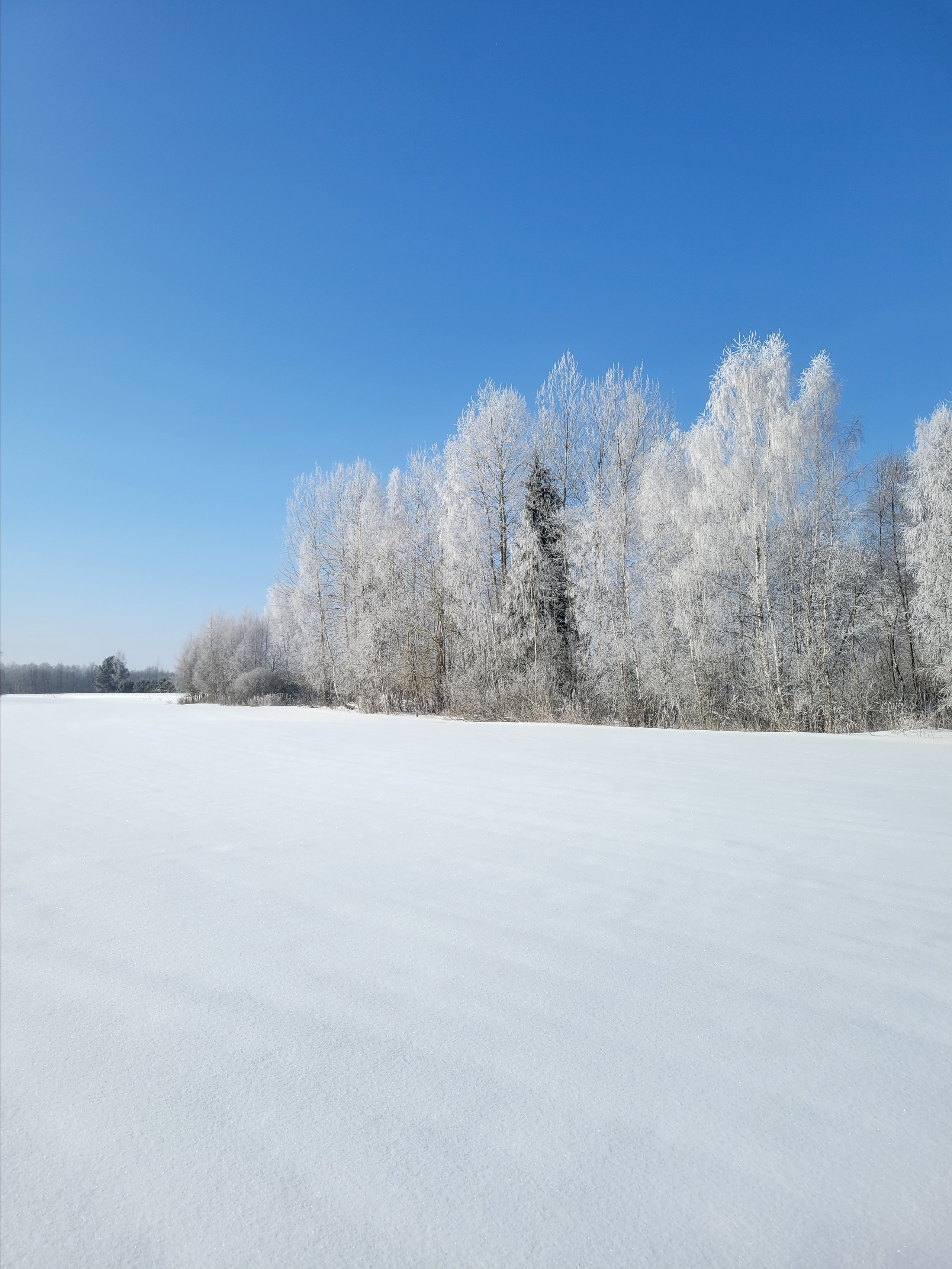 Прикосновение в этот морозный солнечный день к корням, к Родине... сильнейшие эмоции 
