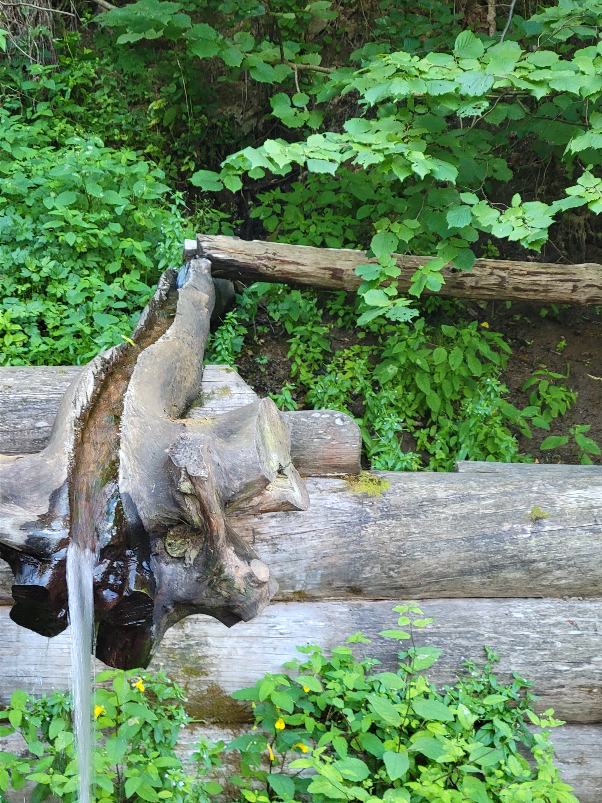 Сам же источник не оправдал ожиданий водопада