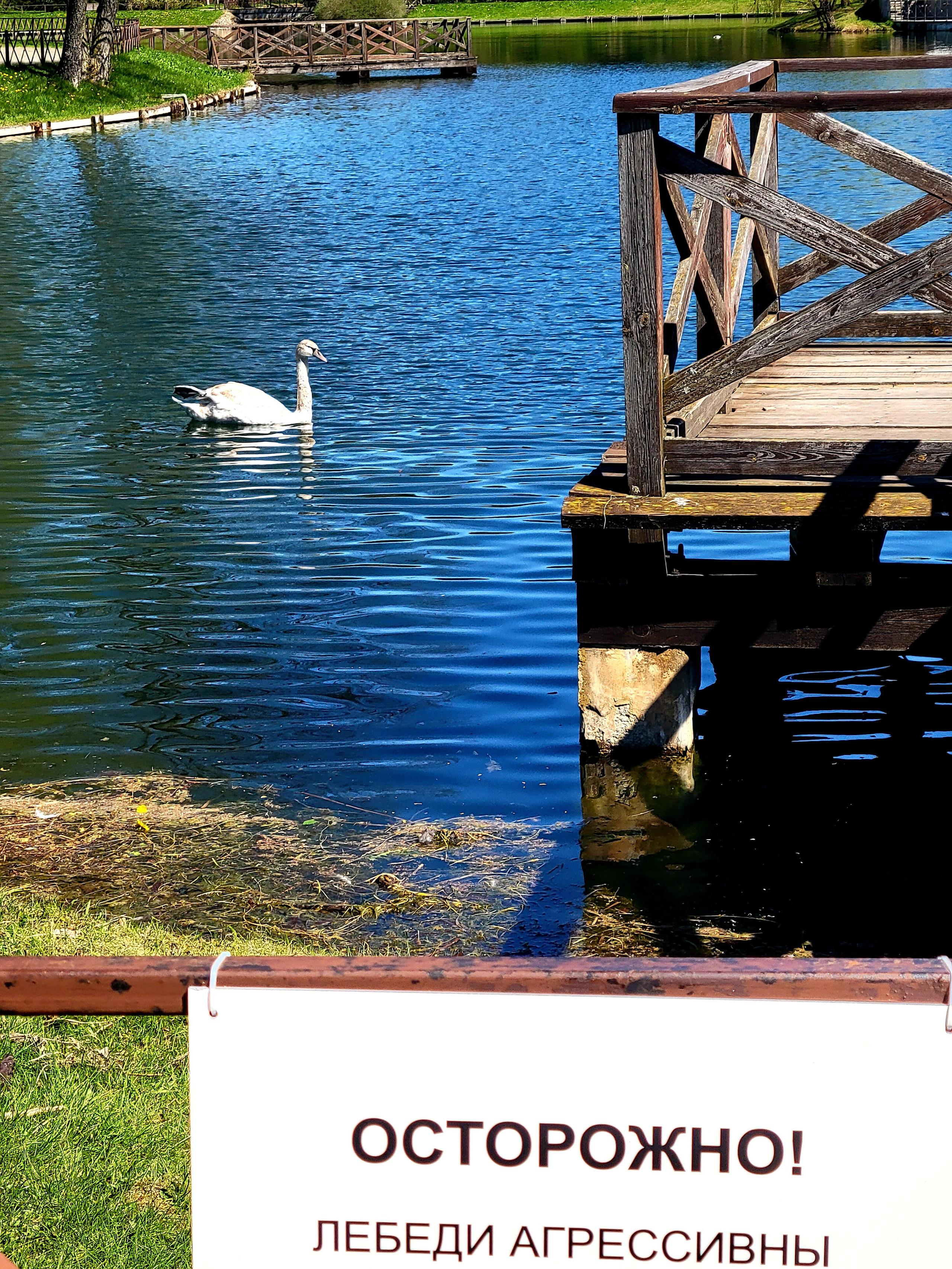 Огромный парк с опасными птицами :)