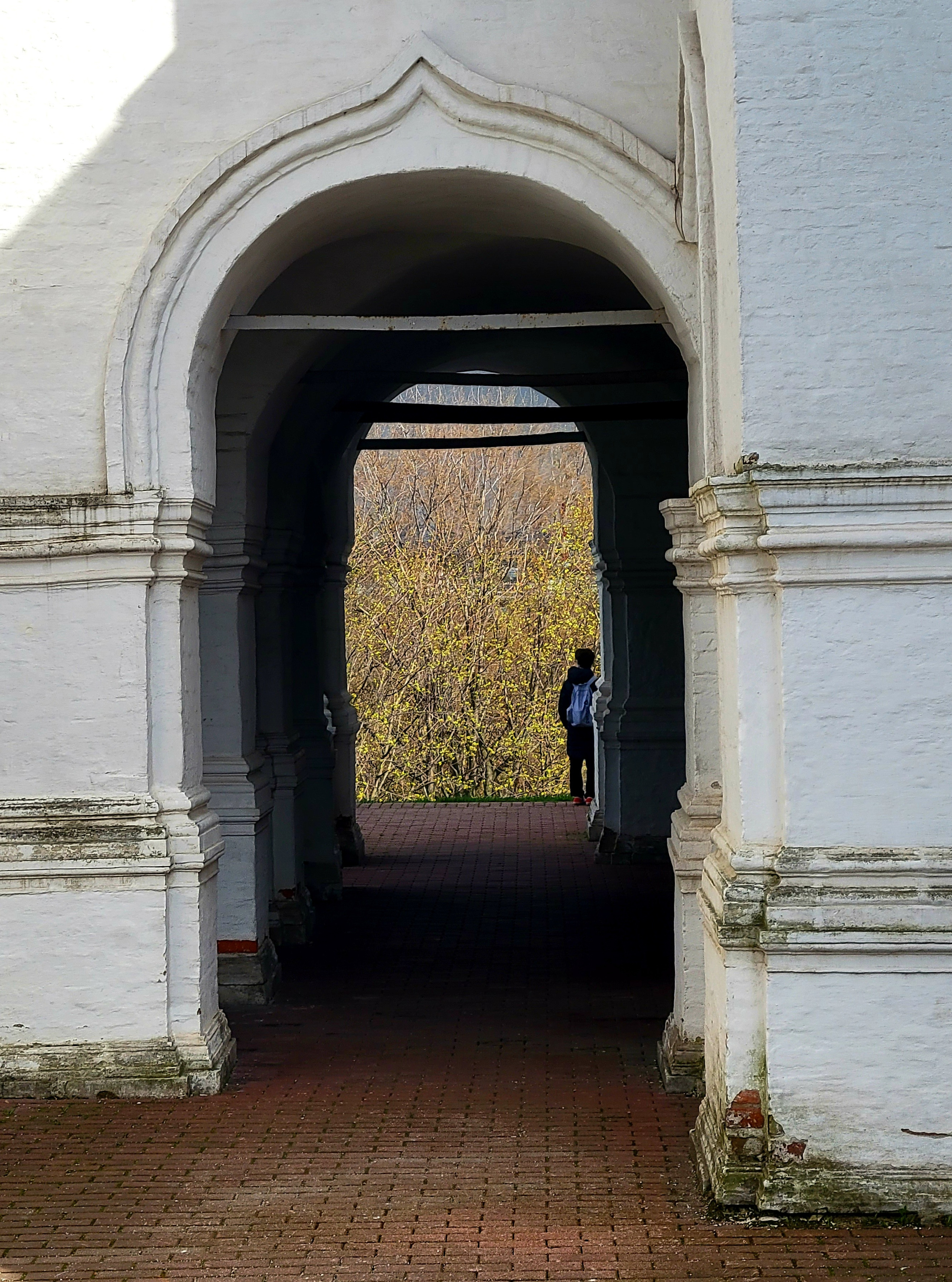 Коломенское. 04/22. Walk & Fly with Batay